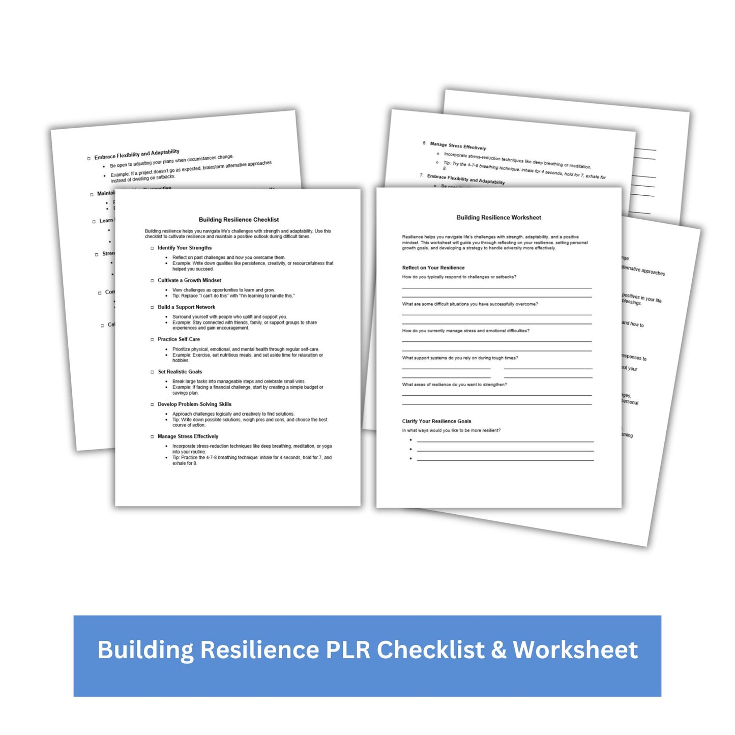 Building Resilience PLR Checklist & Worksheet
