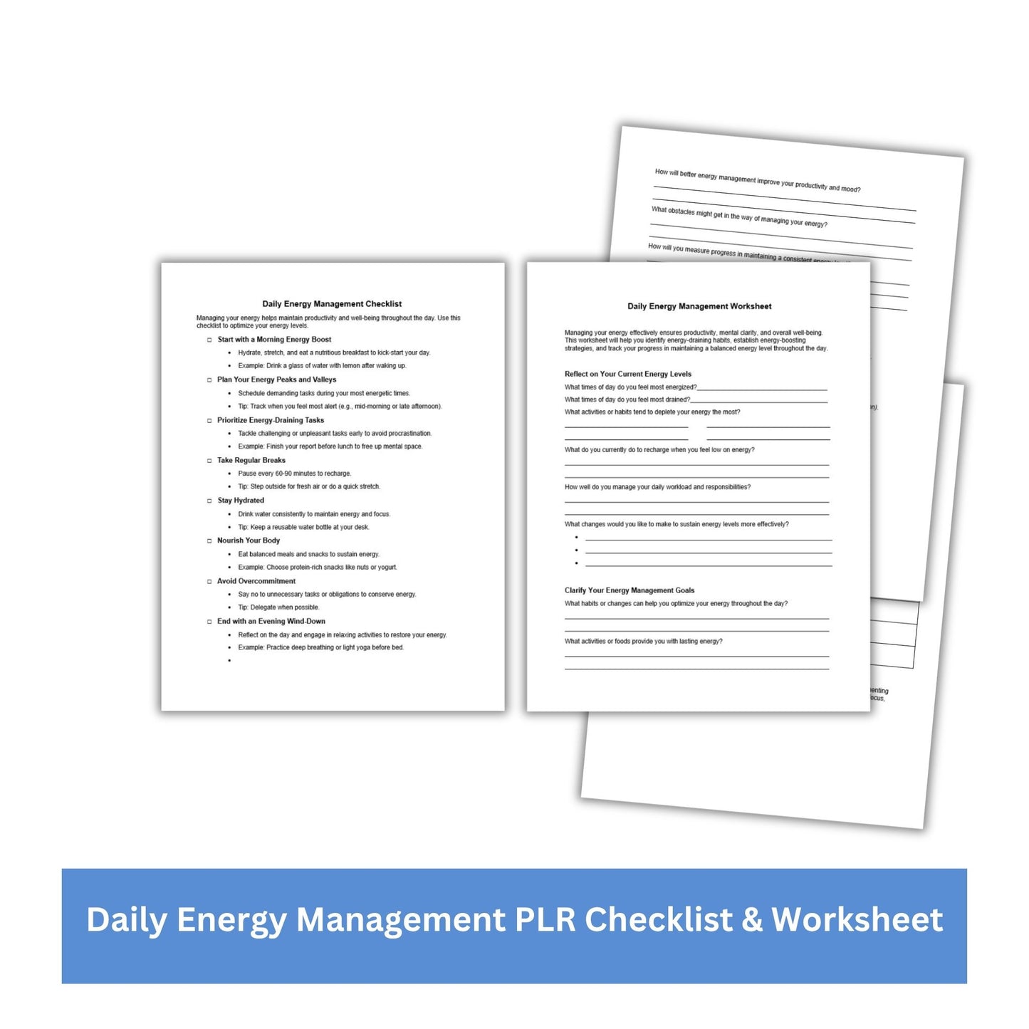Daily Energy Management PLR Checklist & Worksheet