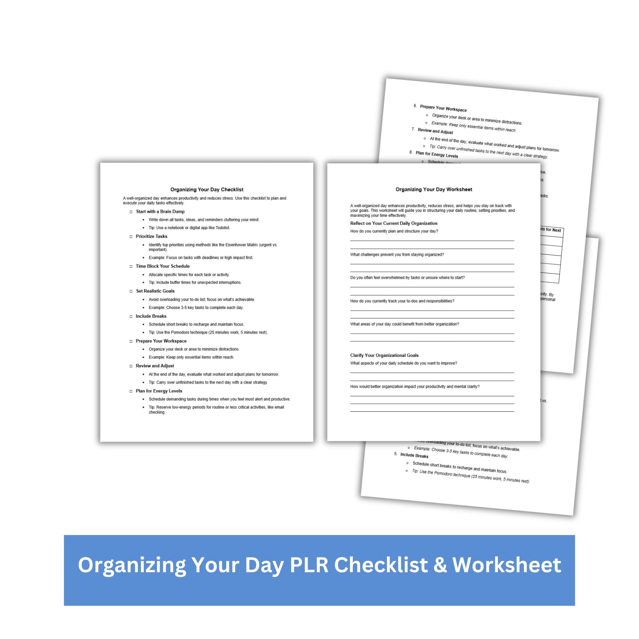 Organizing Your Day PLR Checklist & Worksheet