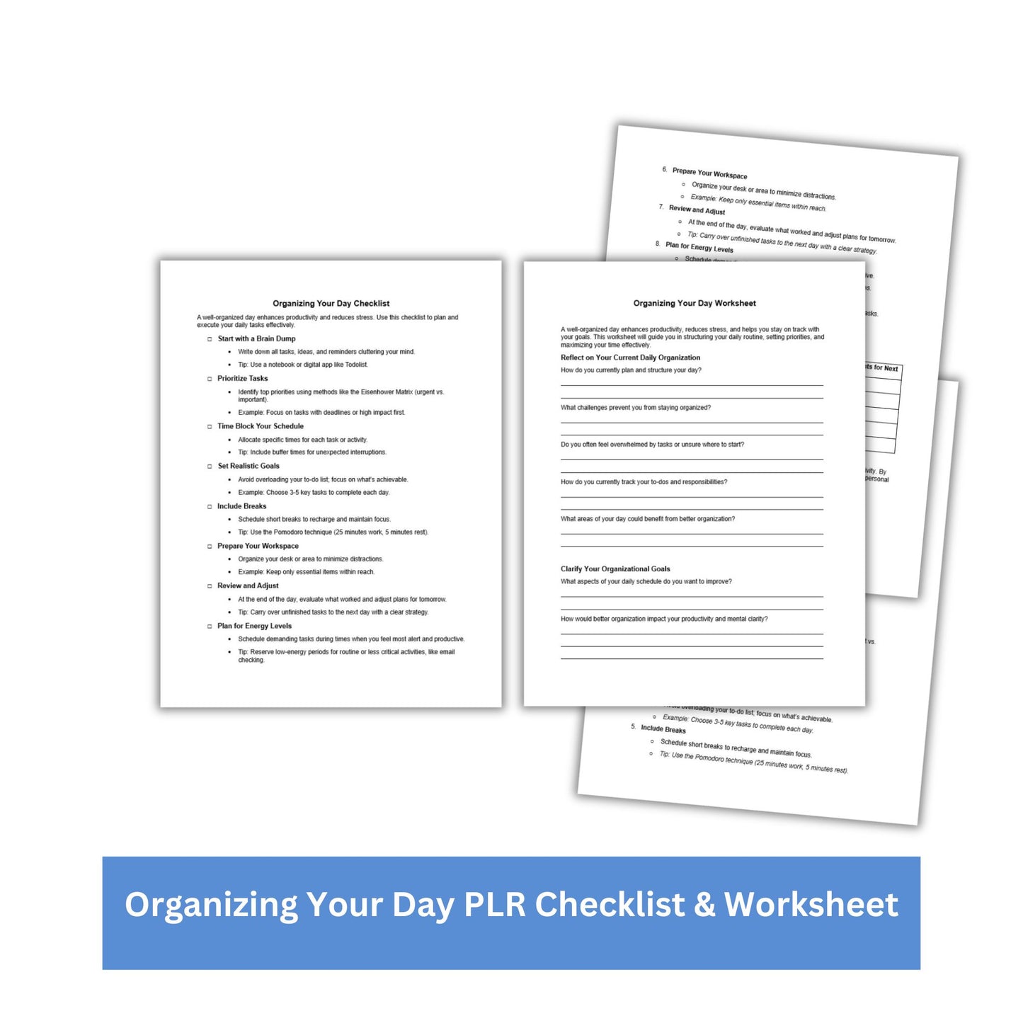 Organizing Your Day PLR Checklist & Worksheet