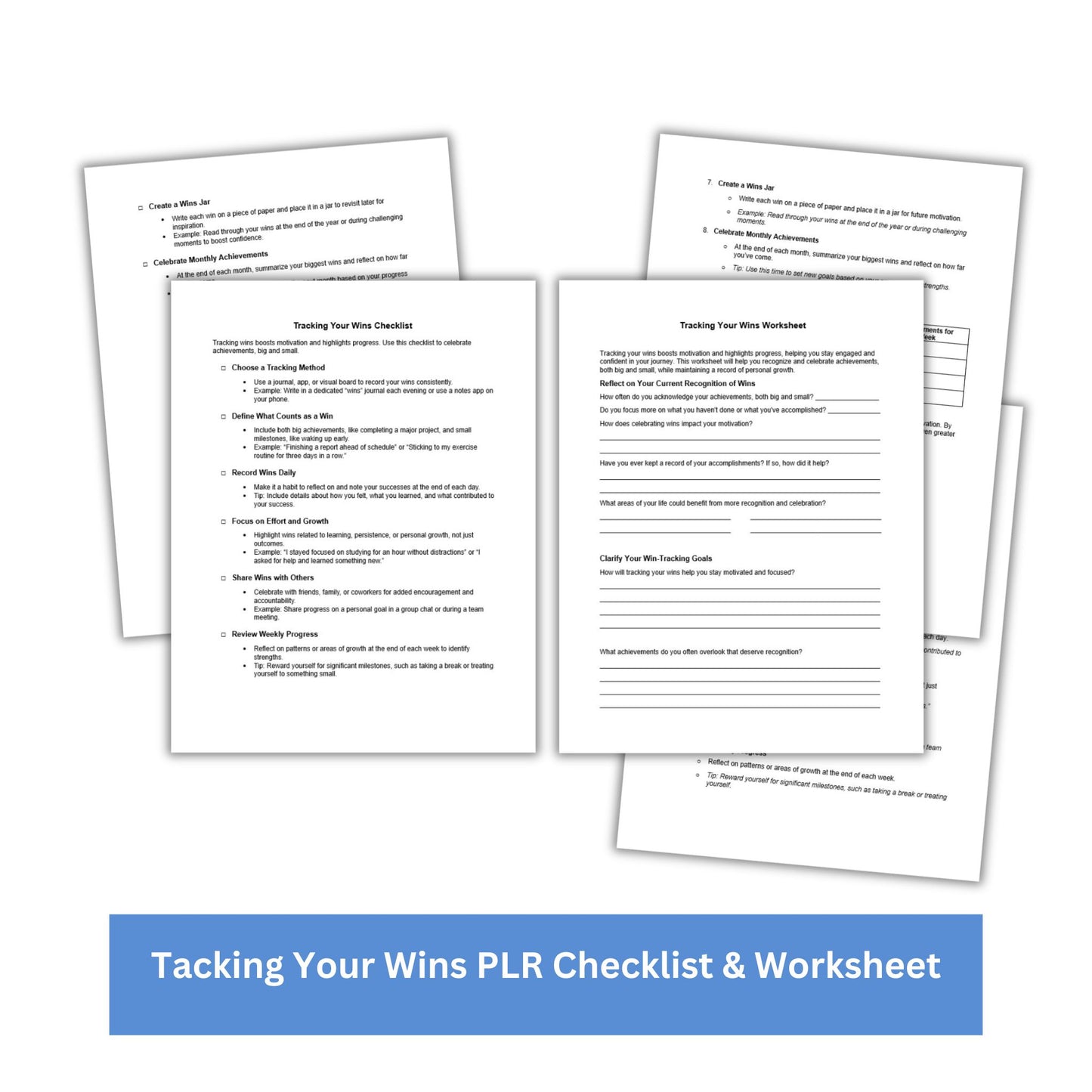 Tracking Your Wins PLR Checklist & Worksheet