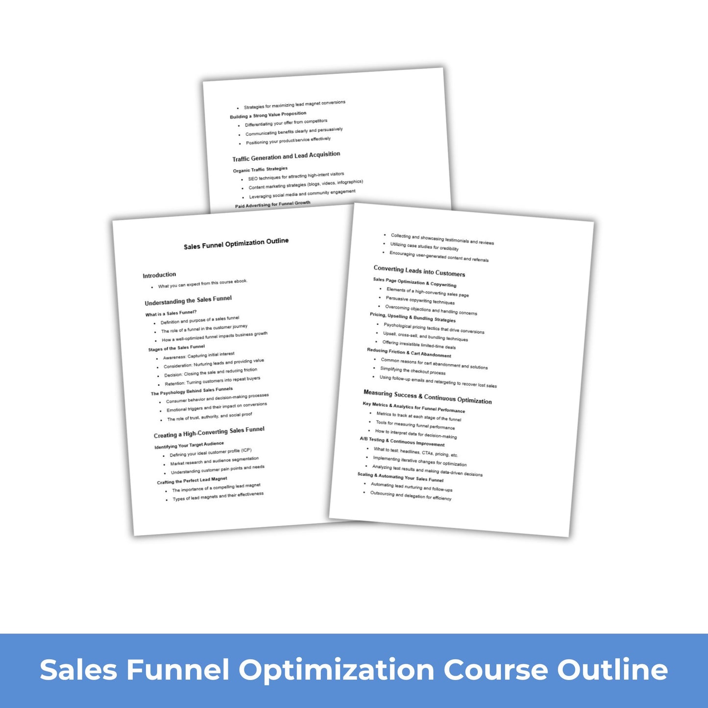 Sales Funnel Optimization PLR Course Outline