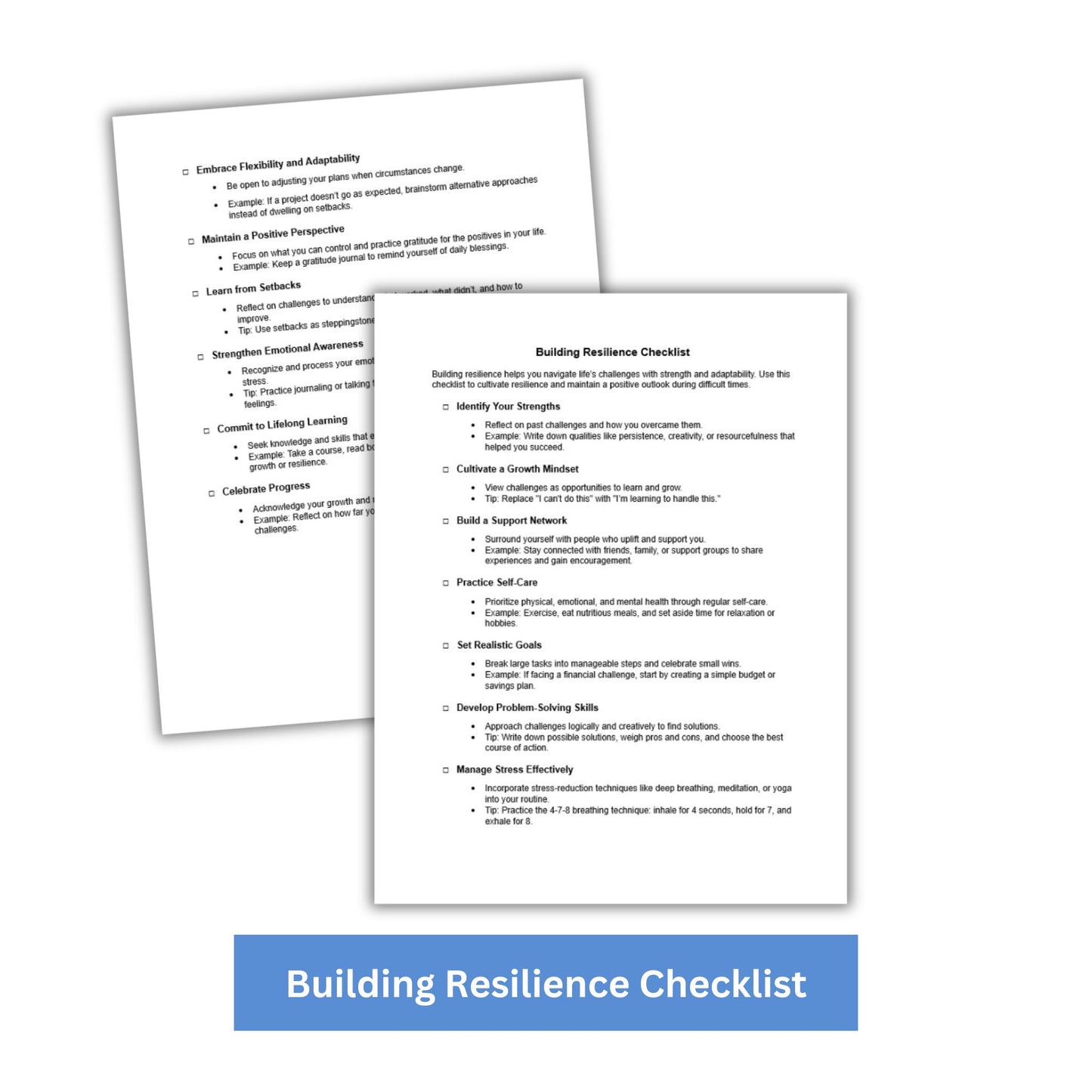 Building Resilience PLR Checklist & Worksheet