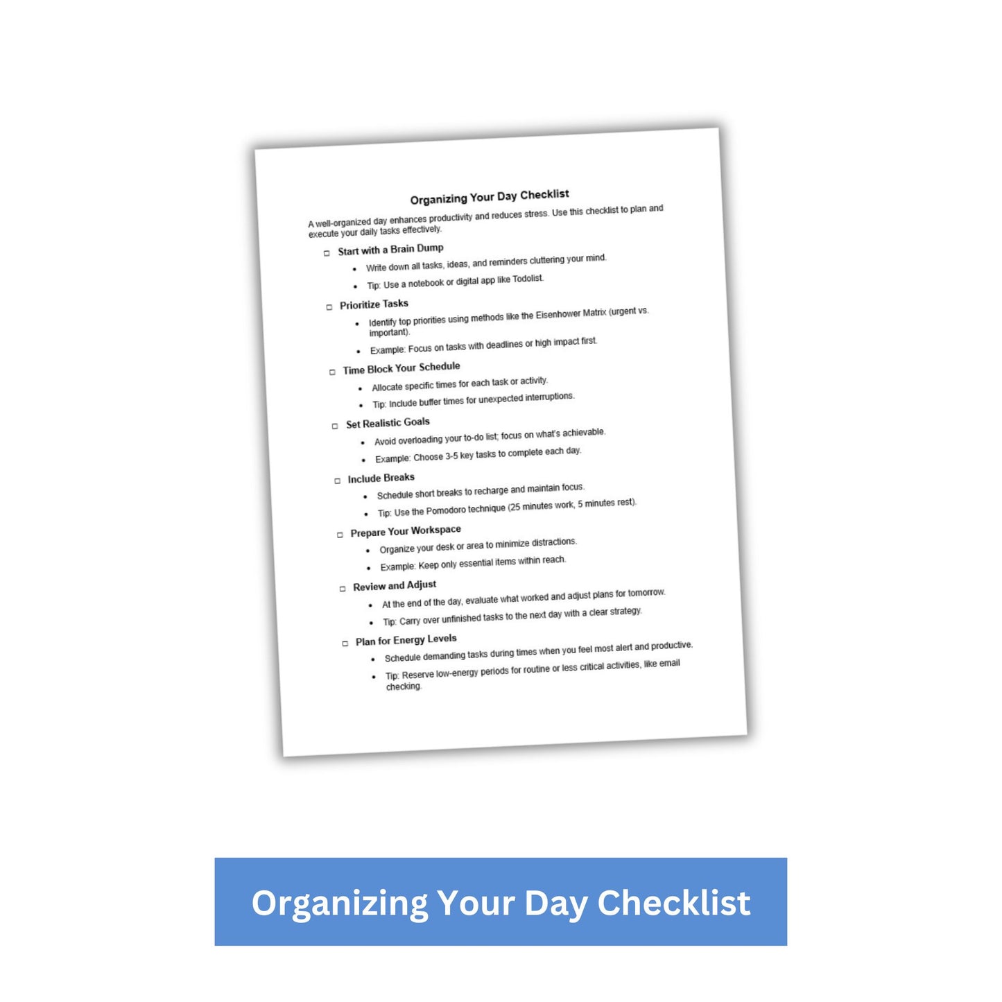 Organizing Your Day PLR Checklist & Worksheet