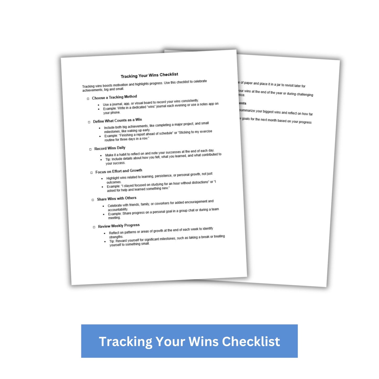 Tracking Your Wins PLR Checklist & Worksheet