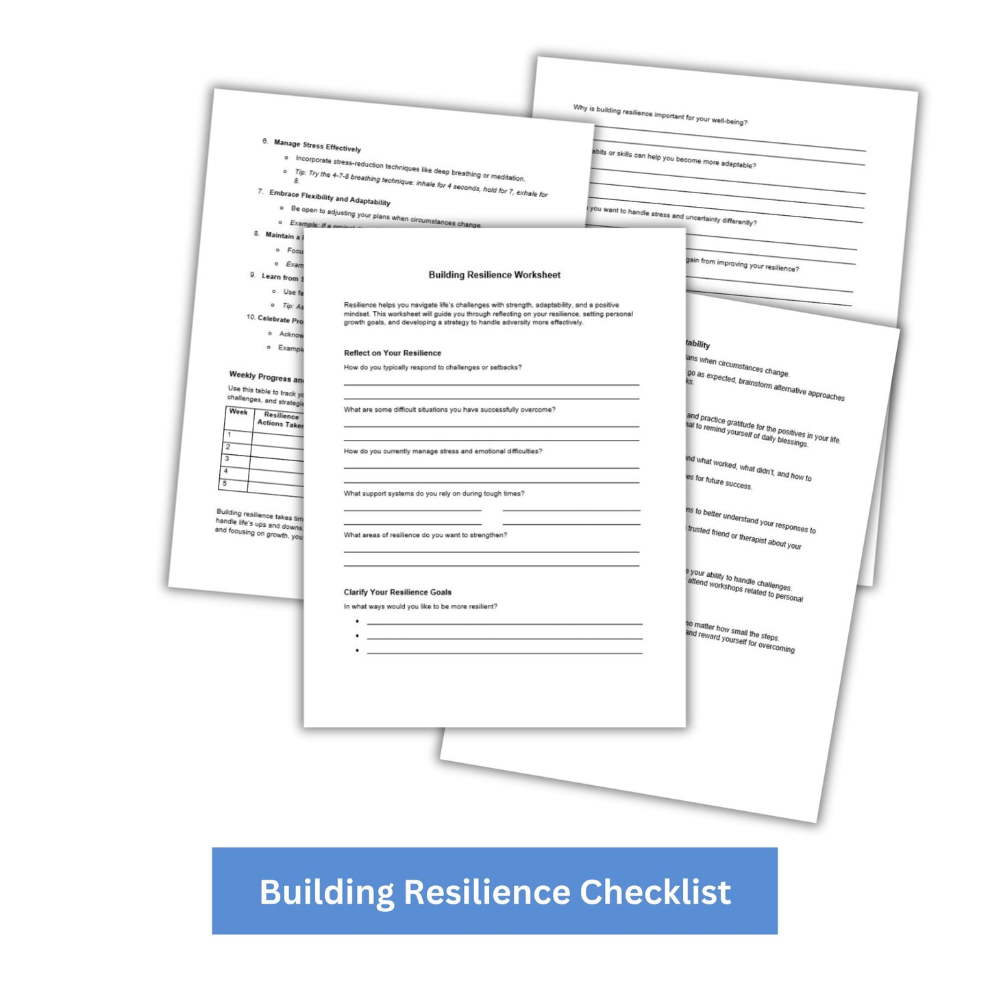 Building Resilience PLR Checklist & Worksheet