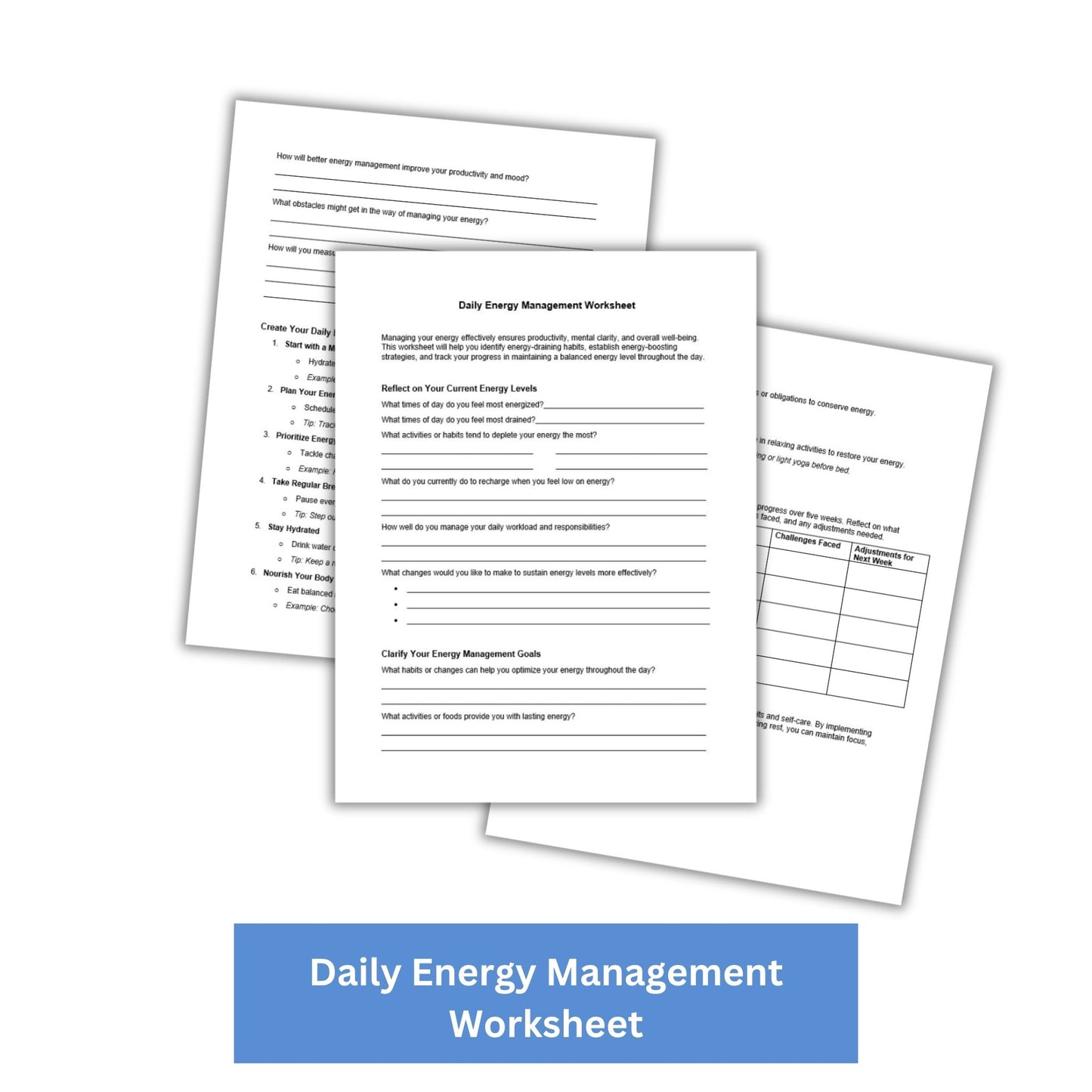 Daily Energy Management PLR Checklist & Worksheet