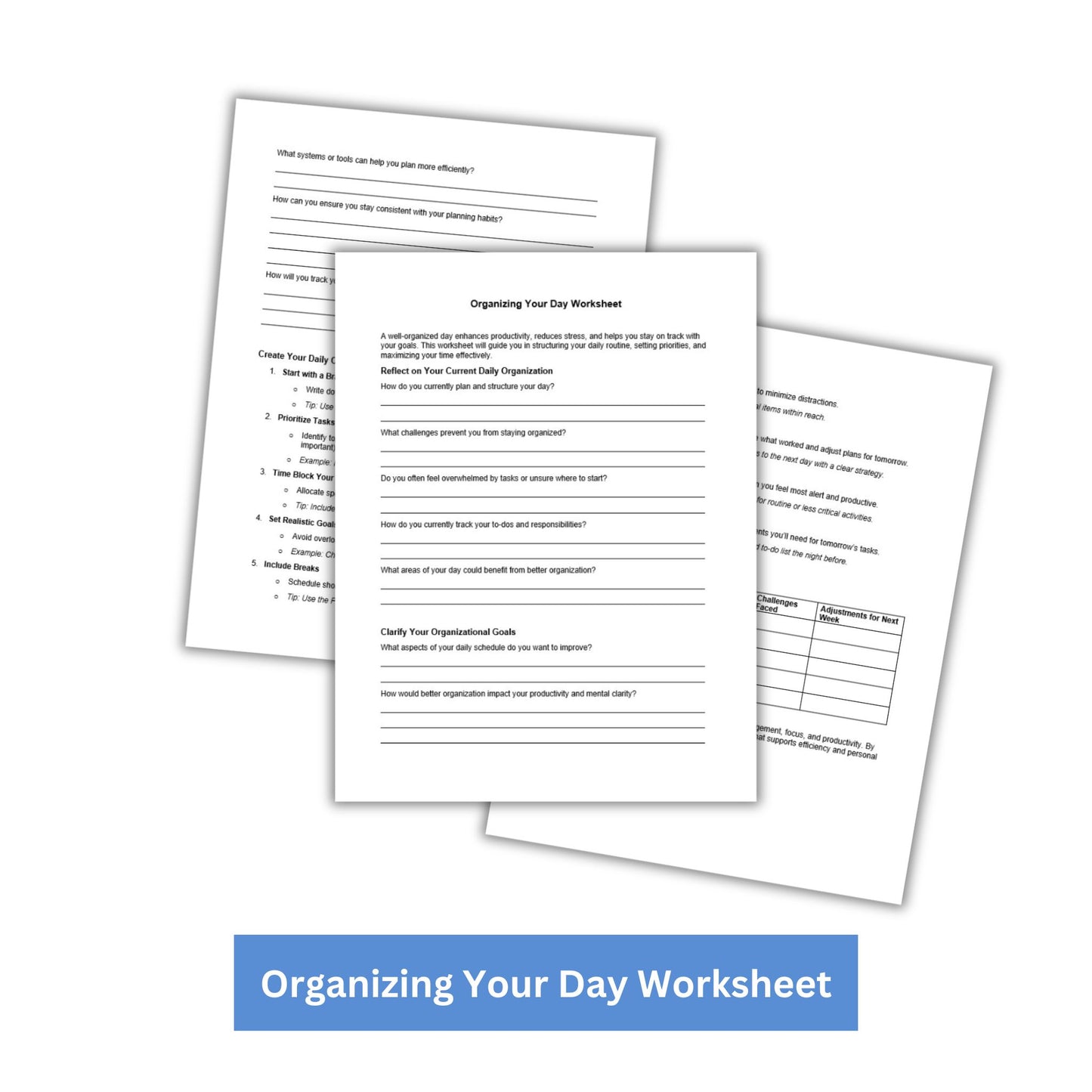 Organizing Your Day PLR Checklist & Worksheet