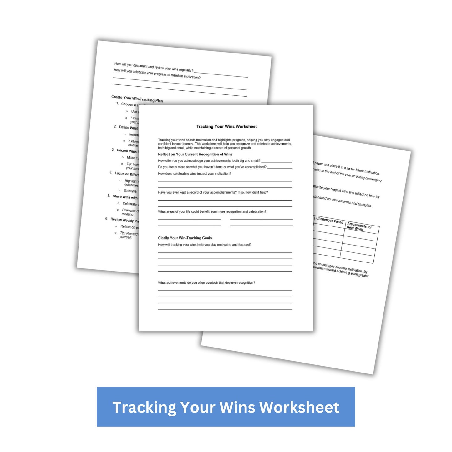 Tracking Your Wins PLR Checklist & Worksheet