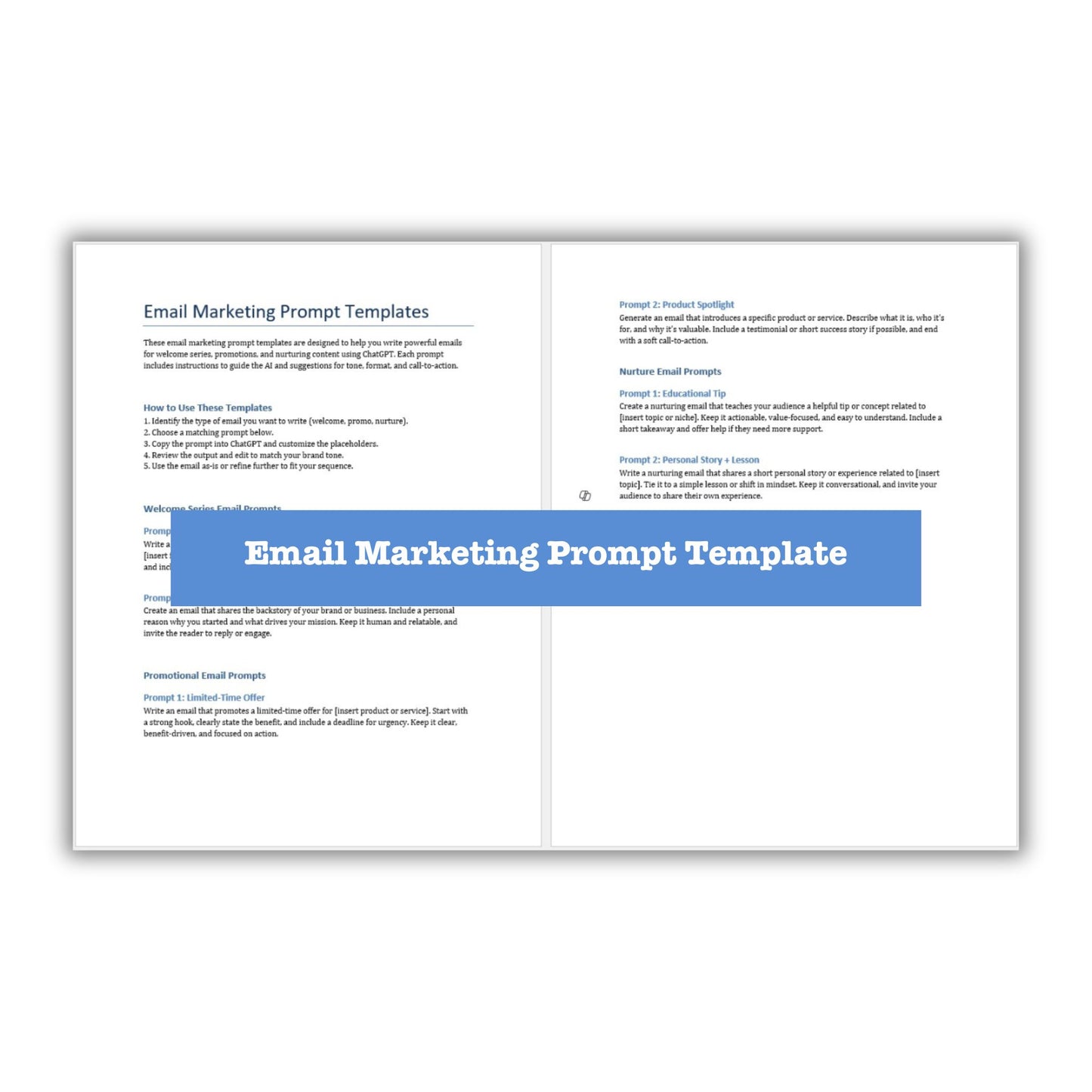 email marketing prompt template plr