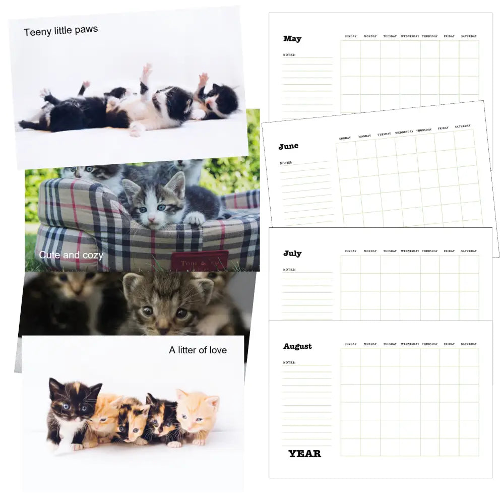 Adorable Kittens Calendar Plr Printable Calendars