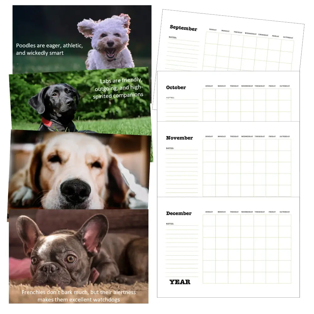 Dog Breeds Calendar Plr Printable Calendars