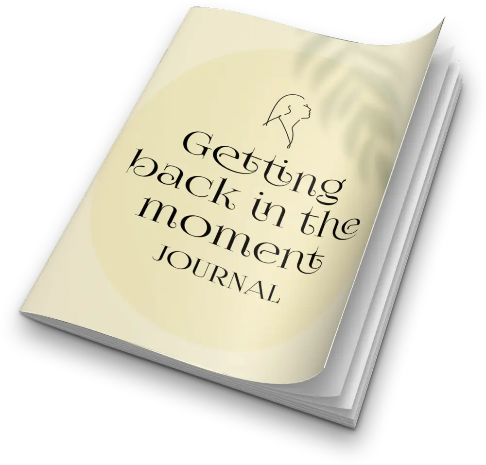 Getting Back In The Moment Printable Journal With Private Label Rights Plr Journals