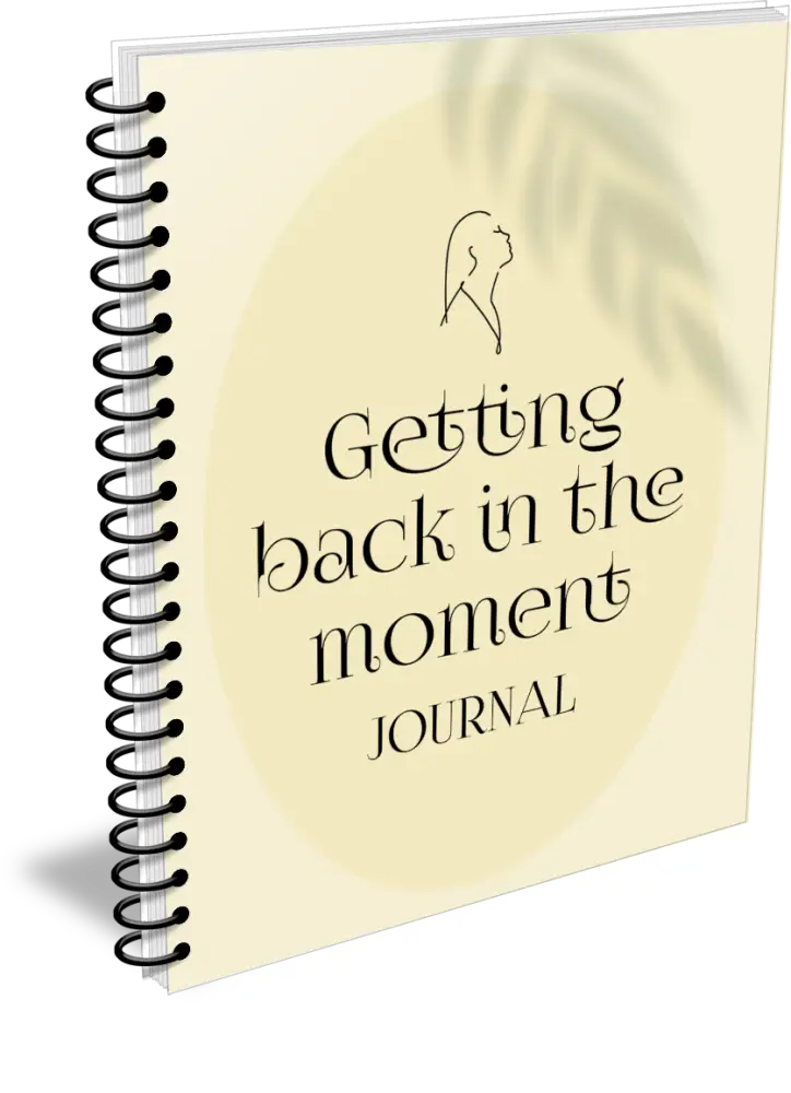 Getting Back In The Moment Printable Journal With Private Label Rights Plr Journals