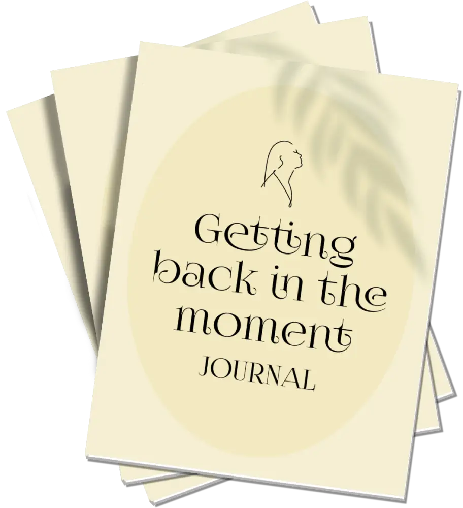 Getting Back In The Moment Printable Journal With Private Label Rights Plr Journals