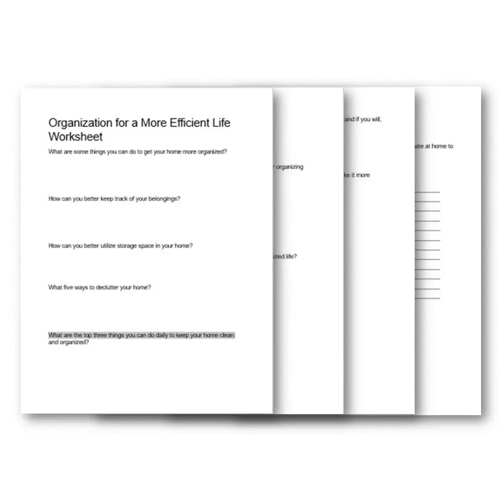 Household Organization for a More Productive Life PLR ckl