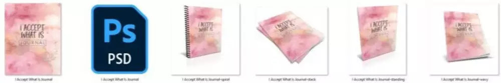 i accept what is commercial use journal