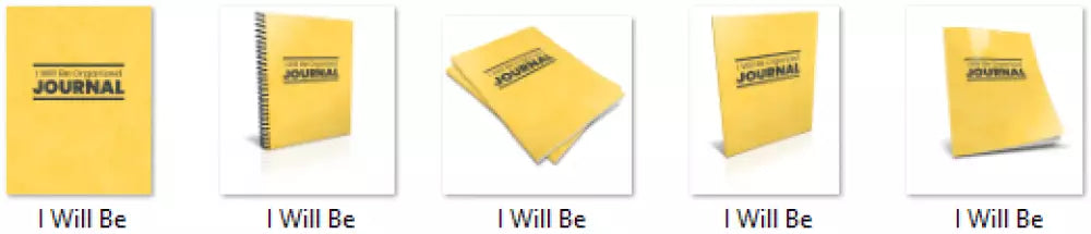 i will be organized done for you journal