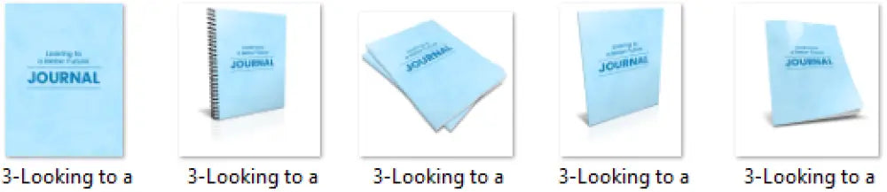 looking to a better future plr journal