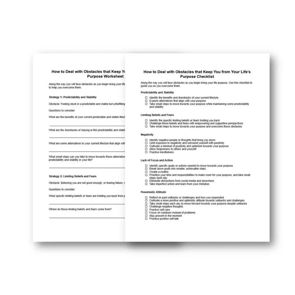 How to Deal with Obstacles - Life Purpose PLR