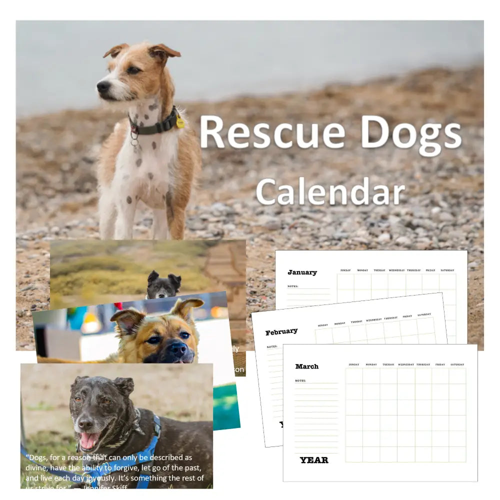 2025 Calendar Rescue Pets