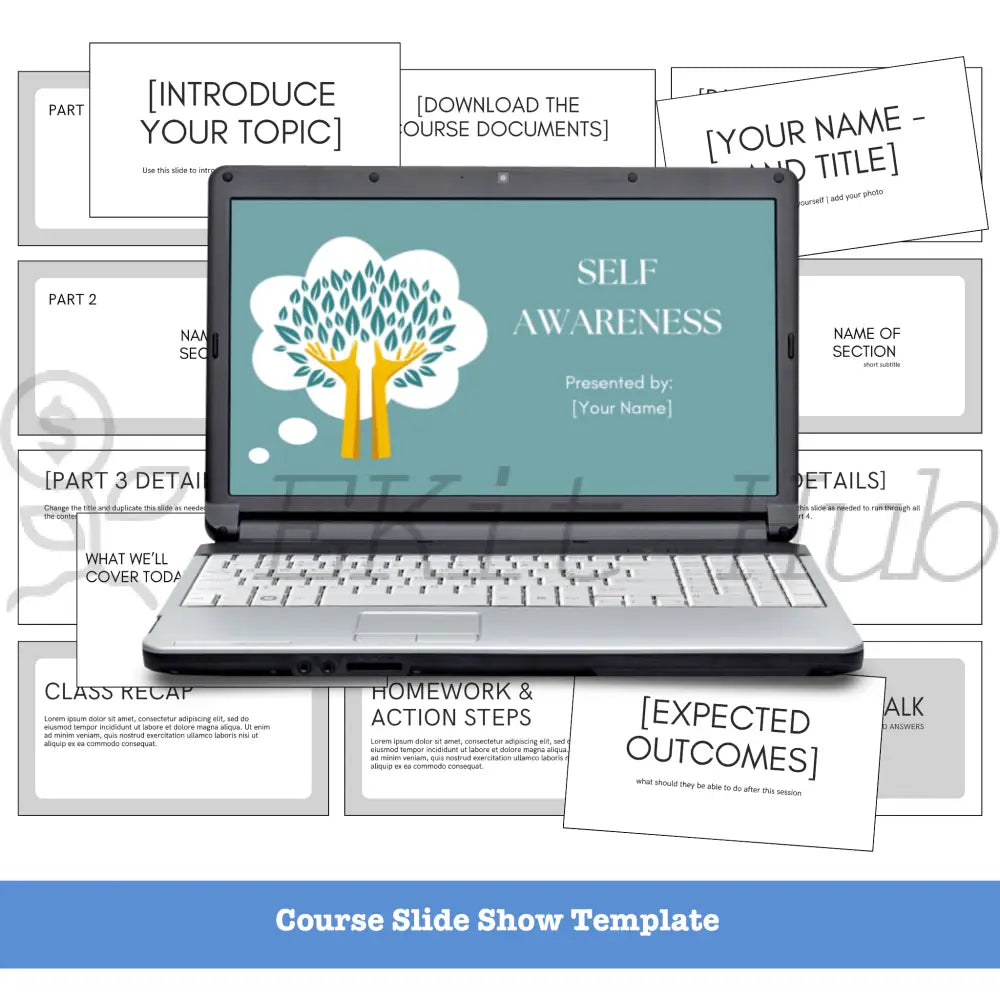 self awareness plr content