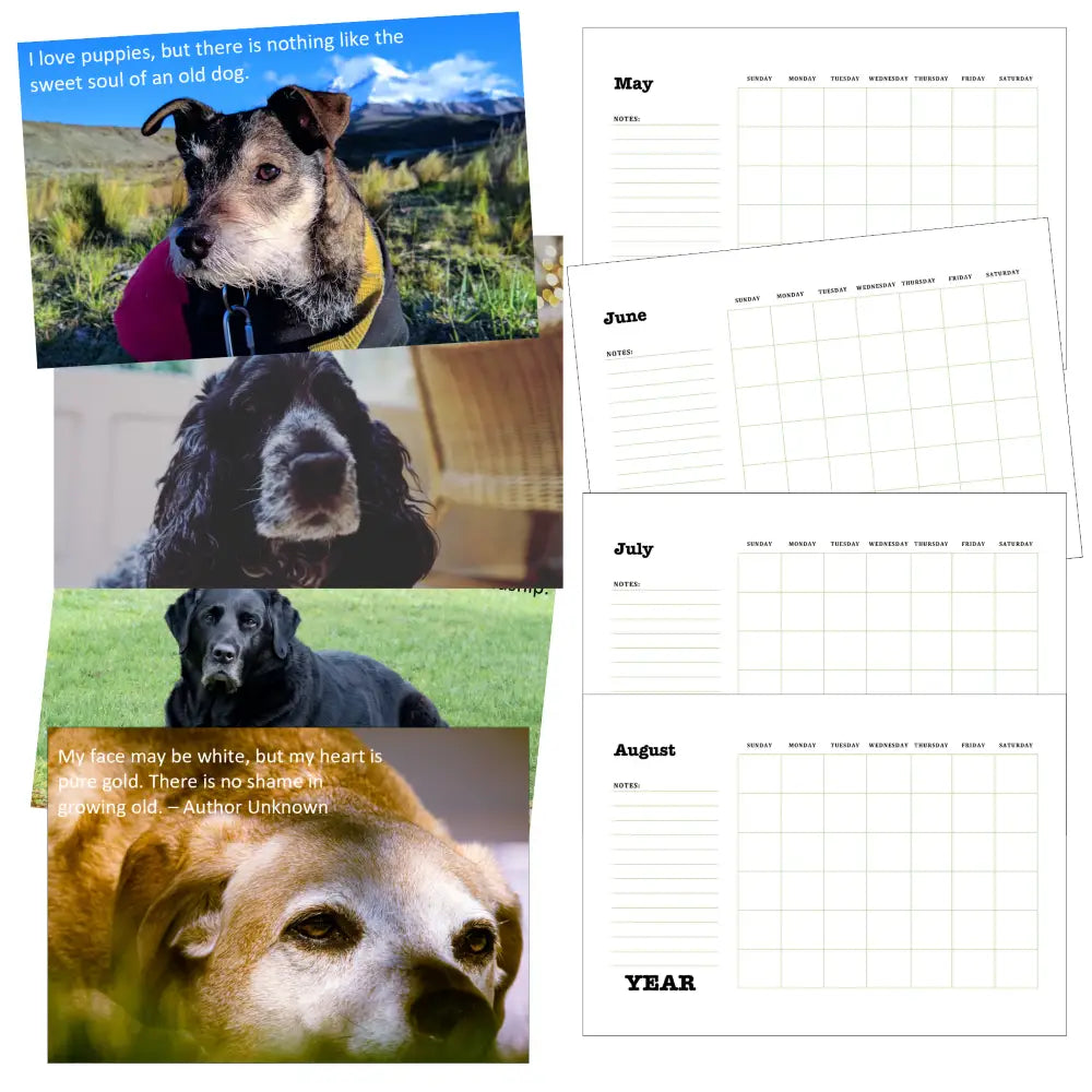 Senior Dogs Calendar Plr Printable Calendars