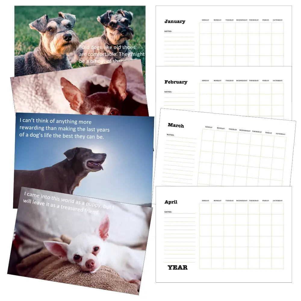 Senior Dogs Calendar Plr Printable Calendars