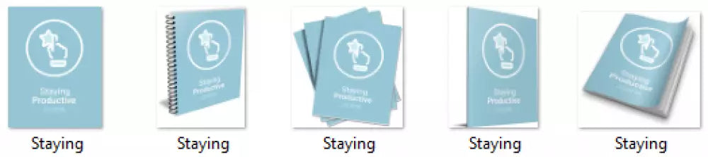 staying productive and organized plr journal