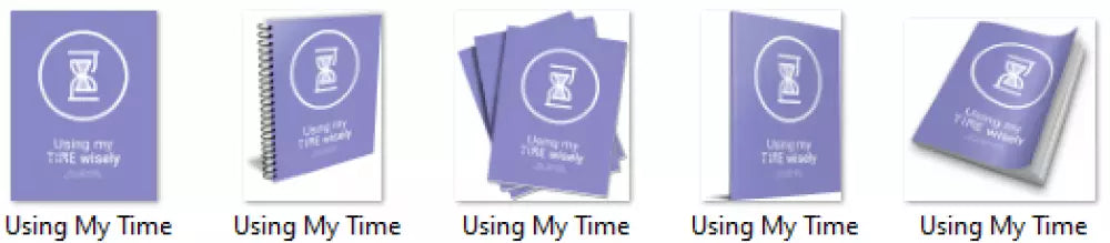 using my time wisely plr journal