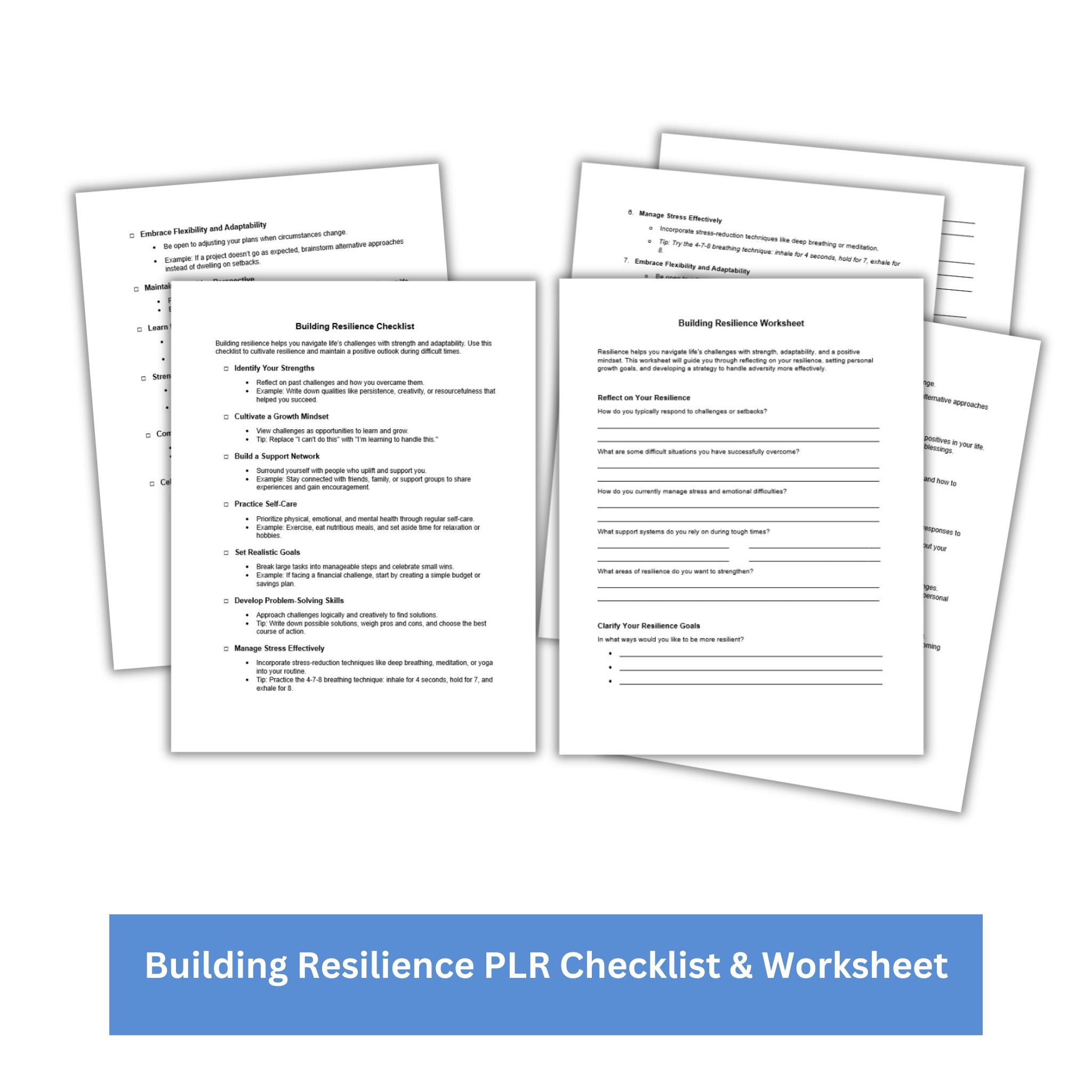 Building Resilience PLR Checklist & Worksheet
