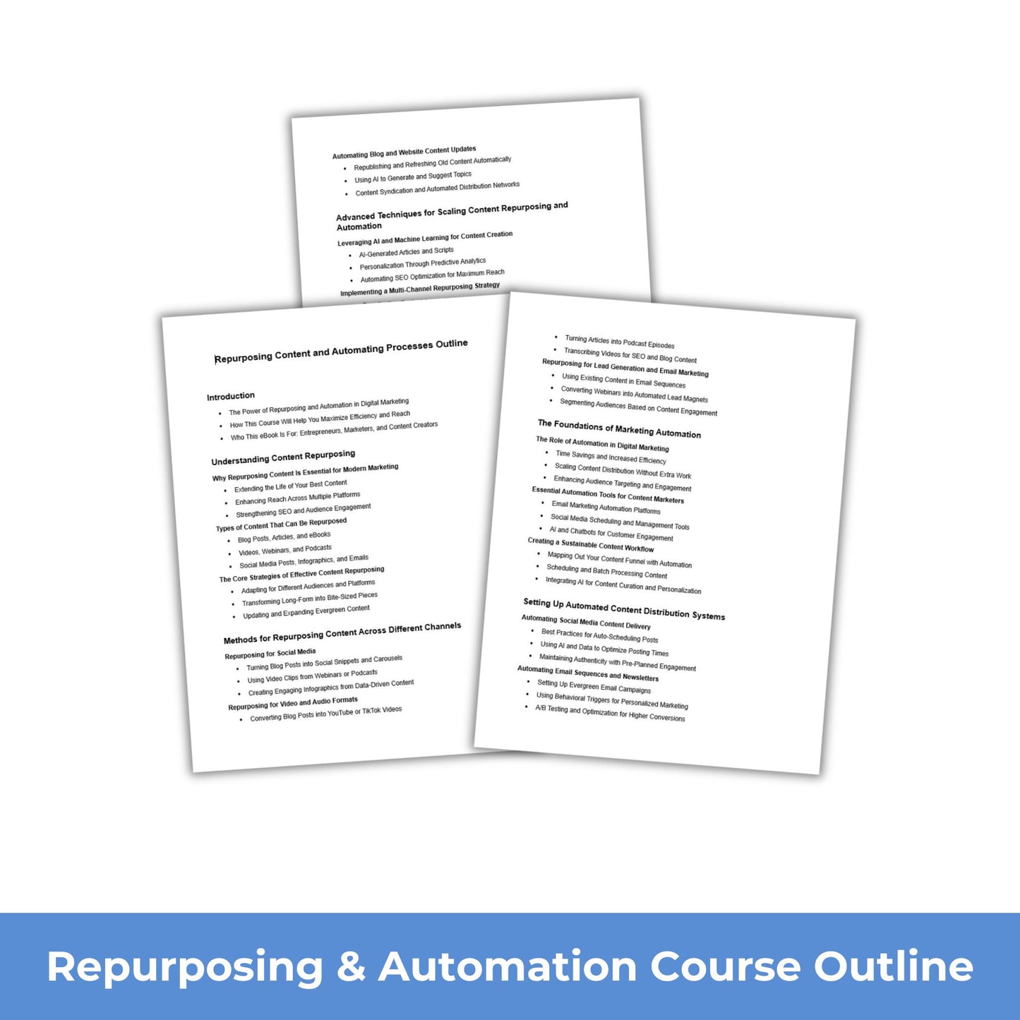 Repurposing and Automation PLR Course Outline