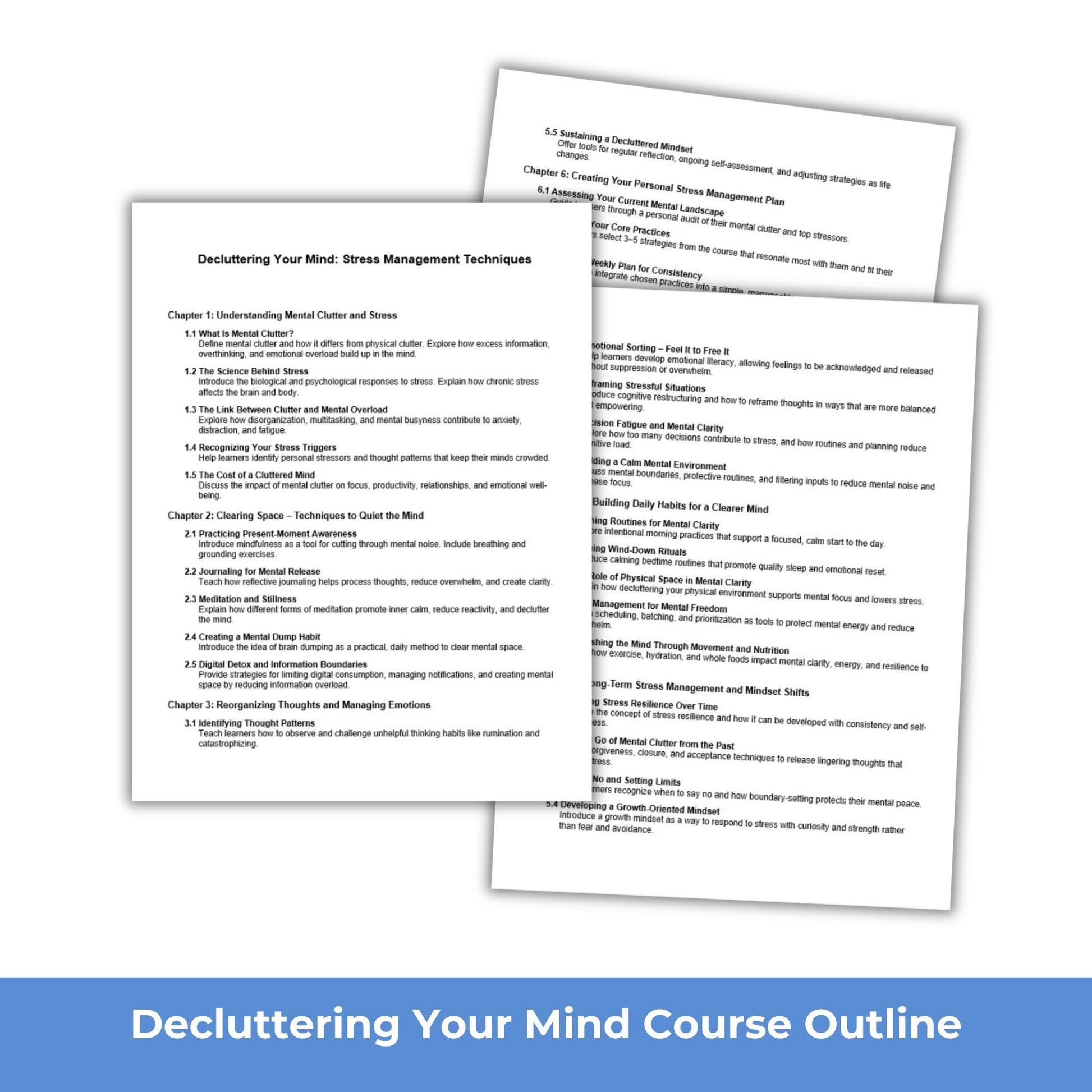 Decluttering Your Mind Stress Management PLR Course Outline