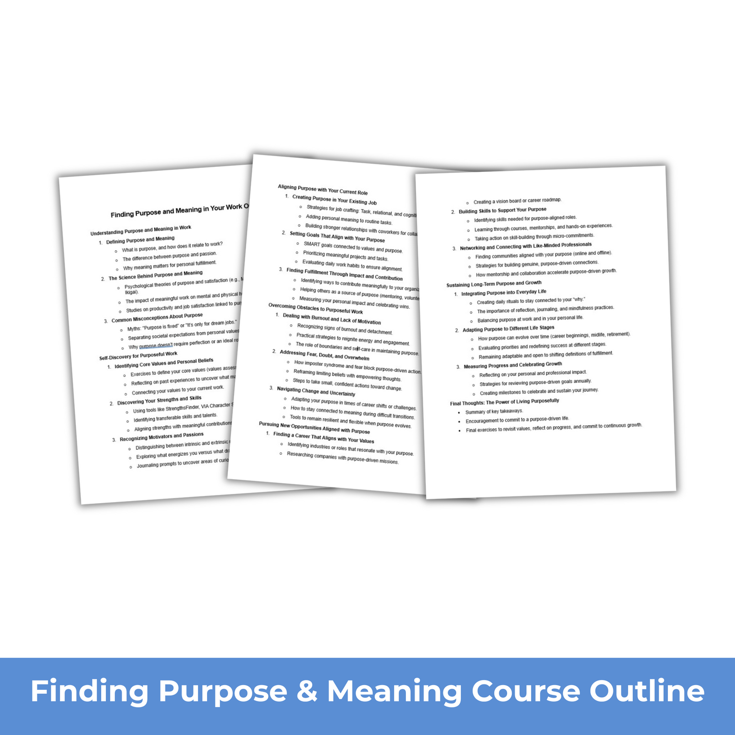 Finding Purpose and Meaning in Your Work - PLR Course