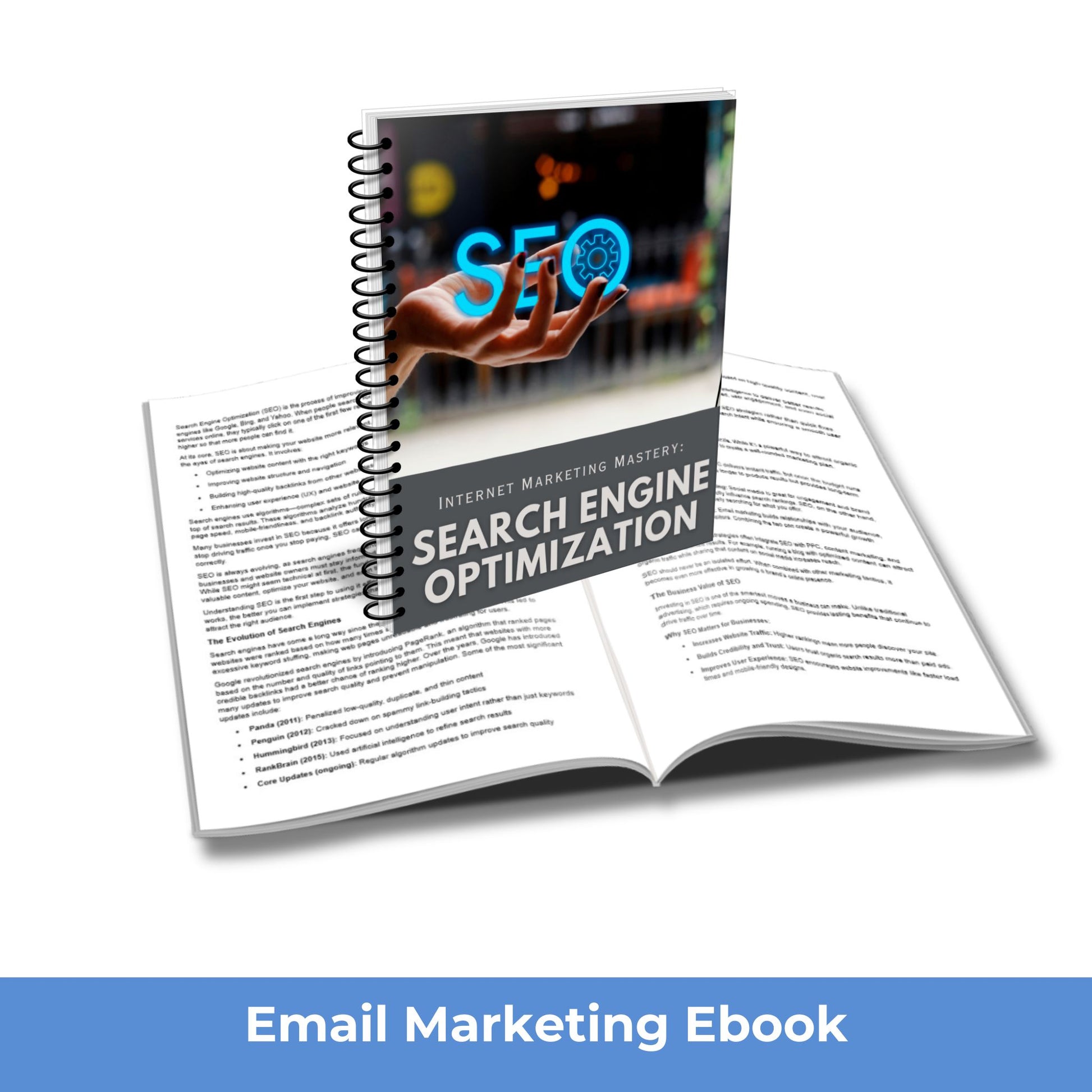 search engine optimization ebook plr