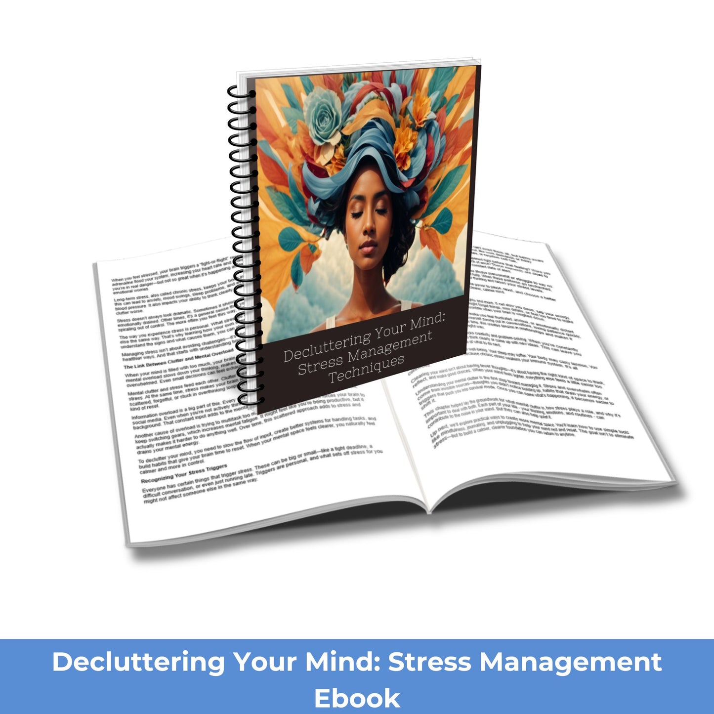 Decluttering Your Mind Course eBook PLR