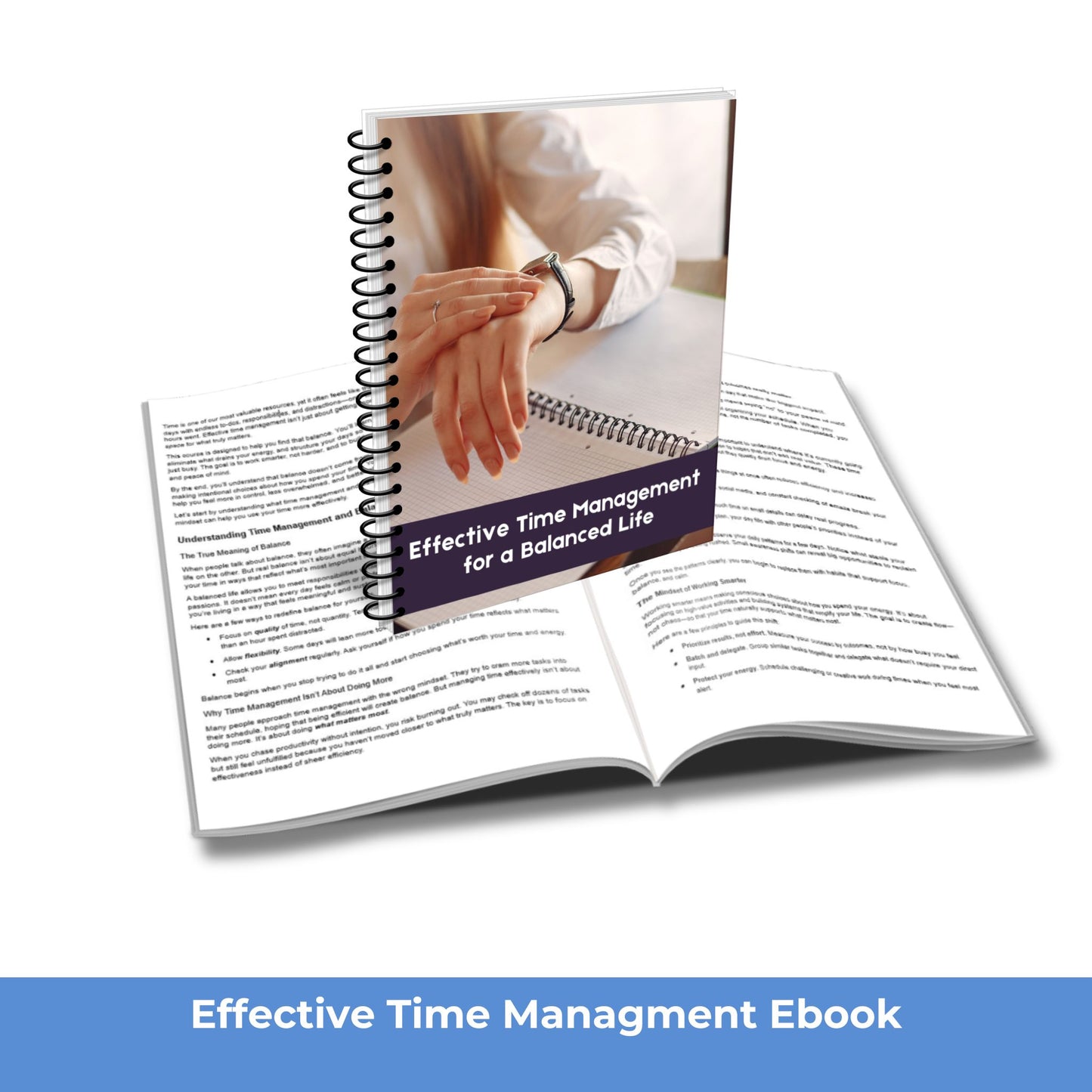 Effective Time Management for a Balanced Life - PLR Course