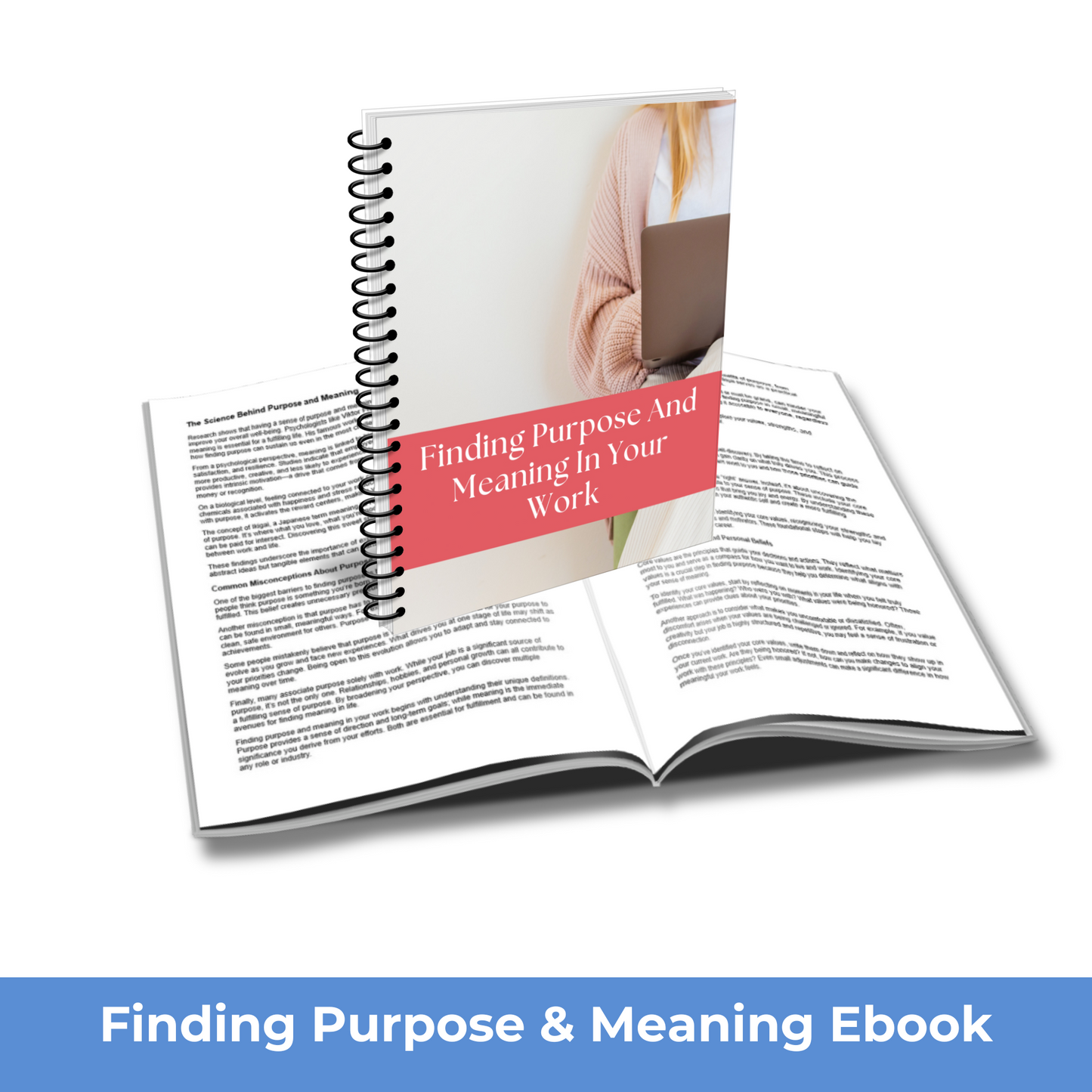 Finding Purpose and Meaning in Your Work - PLR Course