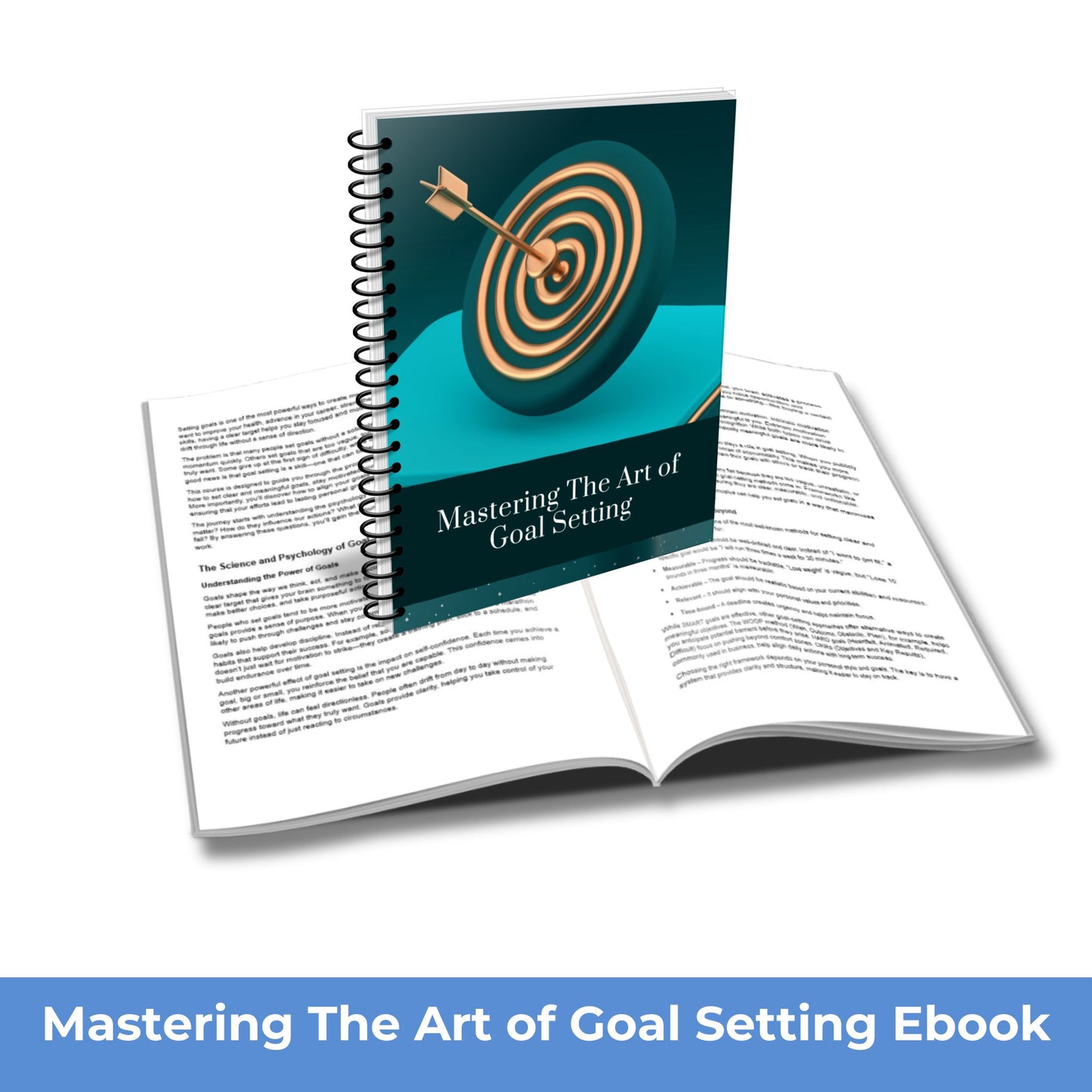 Mastering the Art of Goal Setting eBook PLR