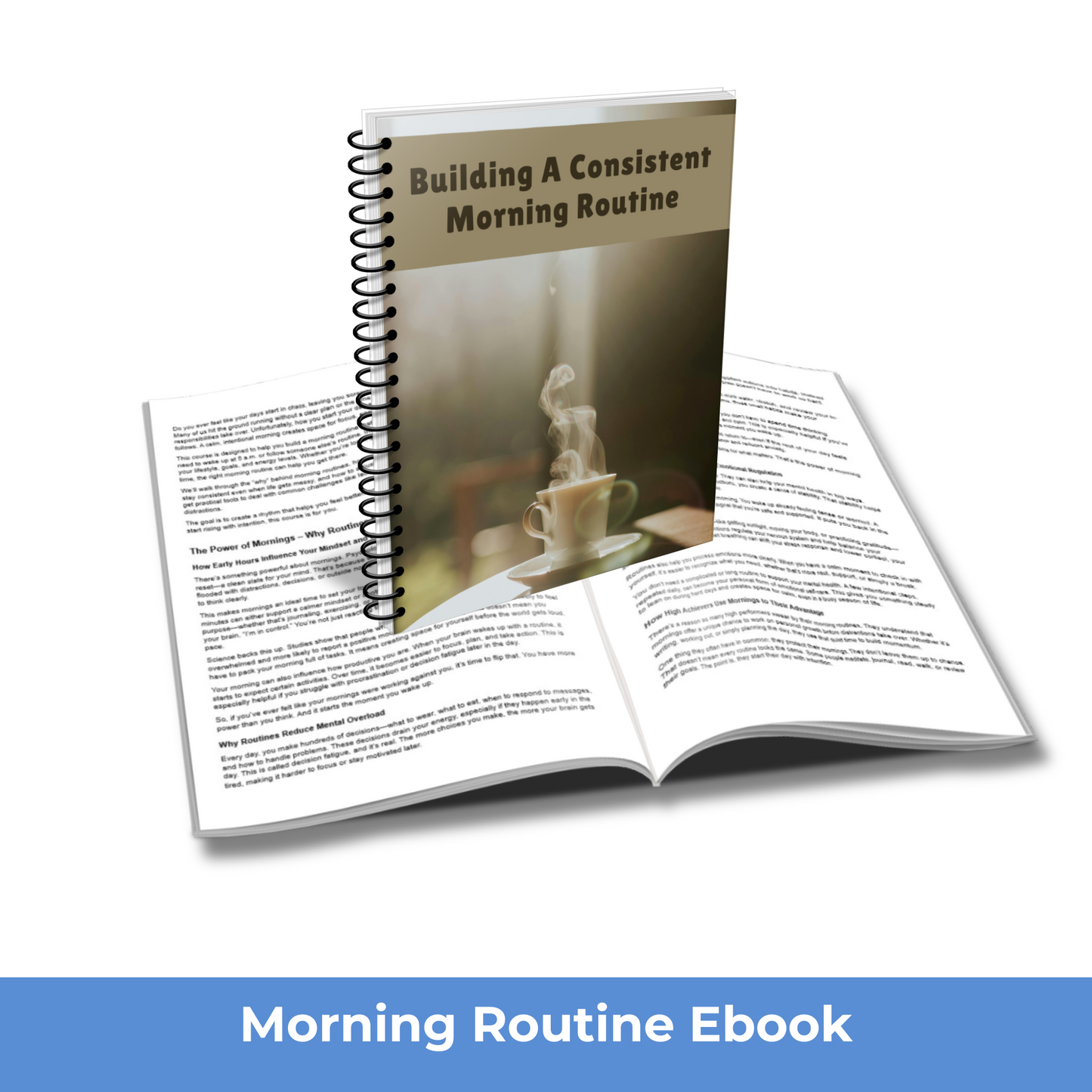 Building a Consistent Morning Routine - PLR Course