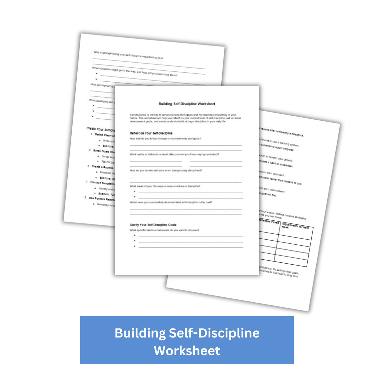 Self Discipline Worksheet.pdf Building Self-Discipline PLR Checklist & Worksheet