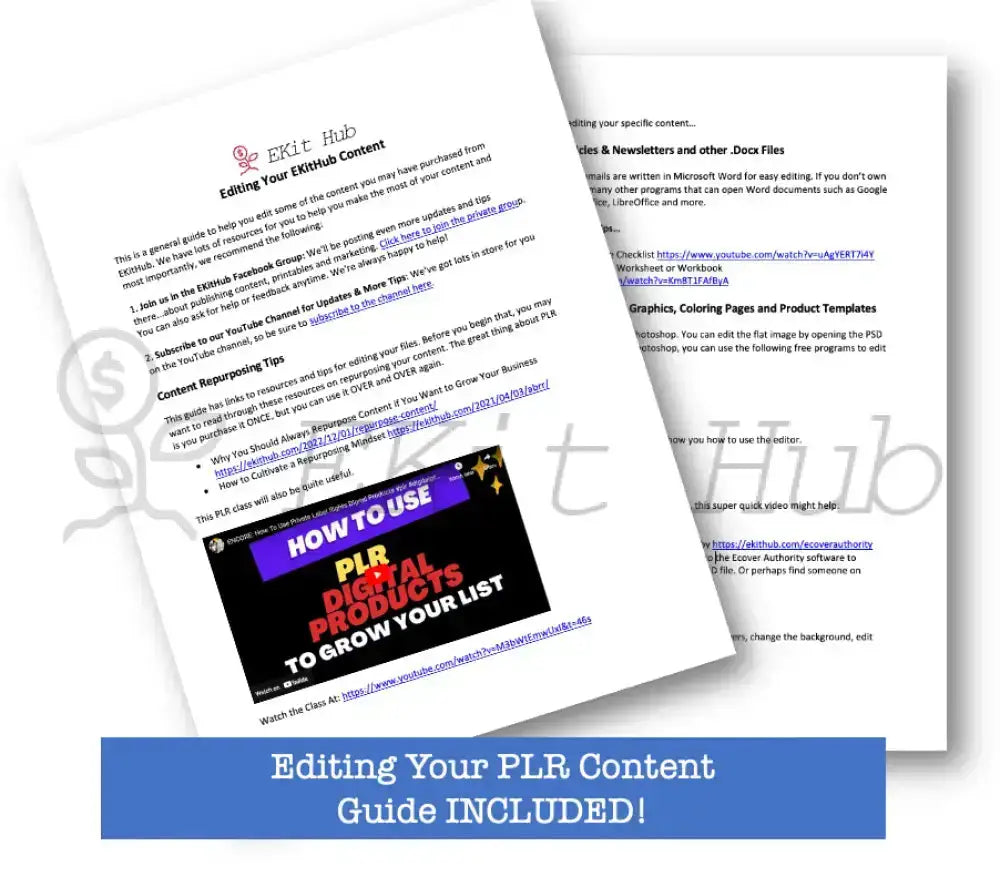 Bonus Edit Your PLR Quick Guide