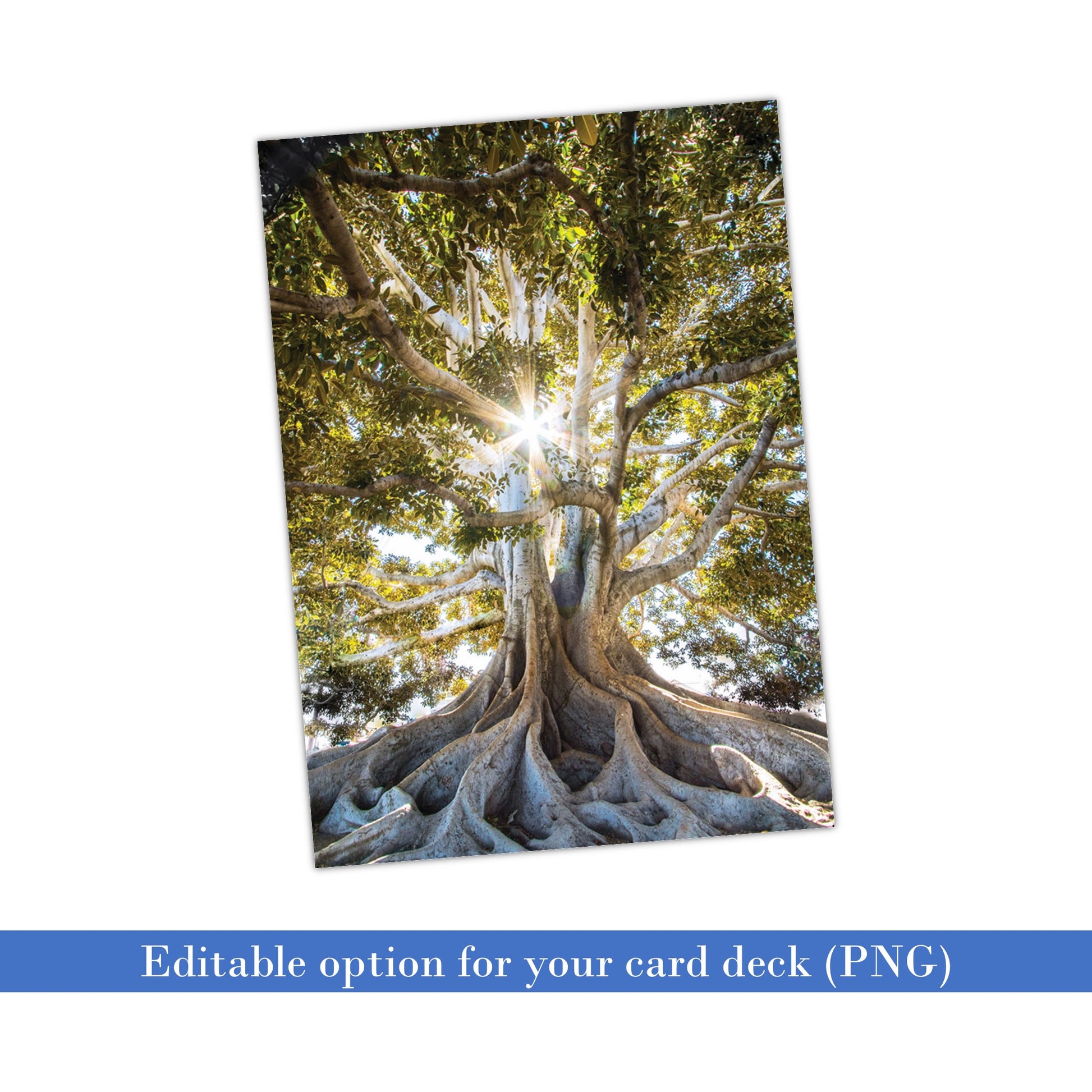 36-Diversity Quote - Plr Card Deck Leadership Templates