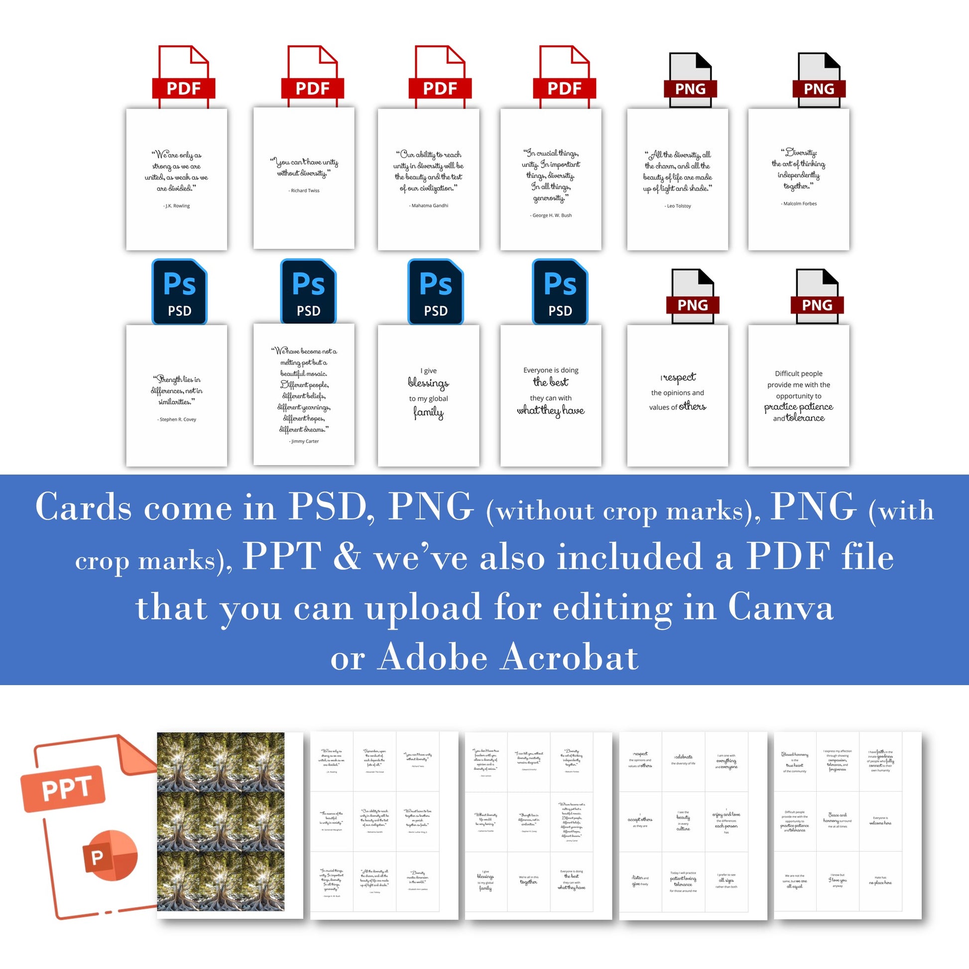 36-Diversity Quote - Plr Card Deck Leadership Templates