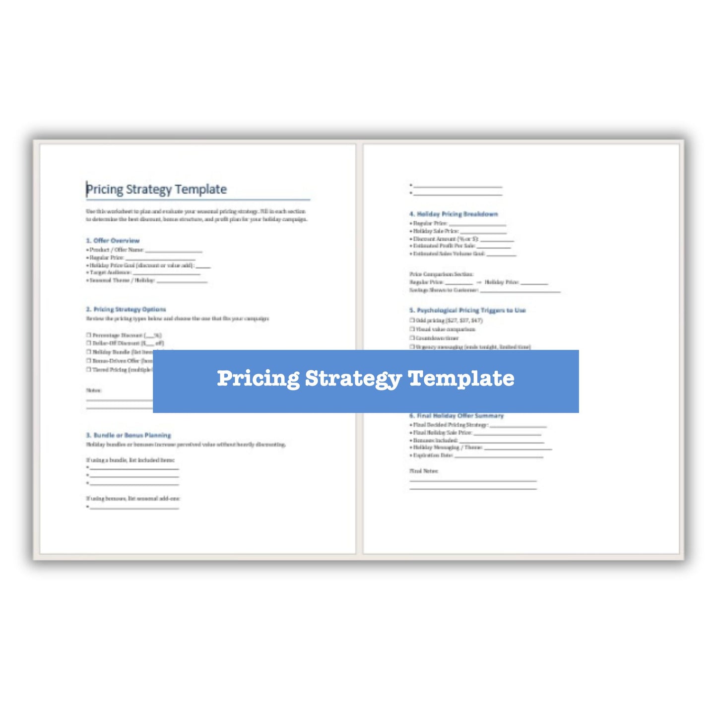 Effortless Holiday Sales PLR Pricing Strategy Template