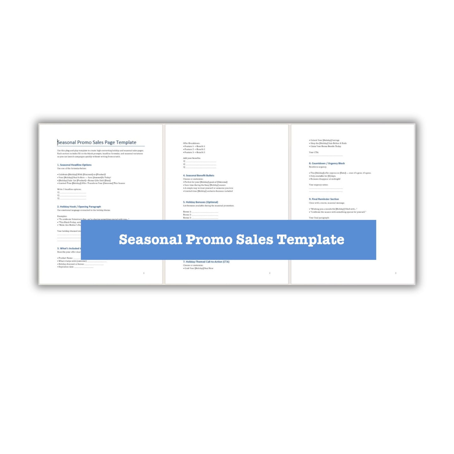 Effortless Holiday Sales PLR Seasonal Sales Template