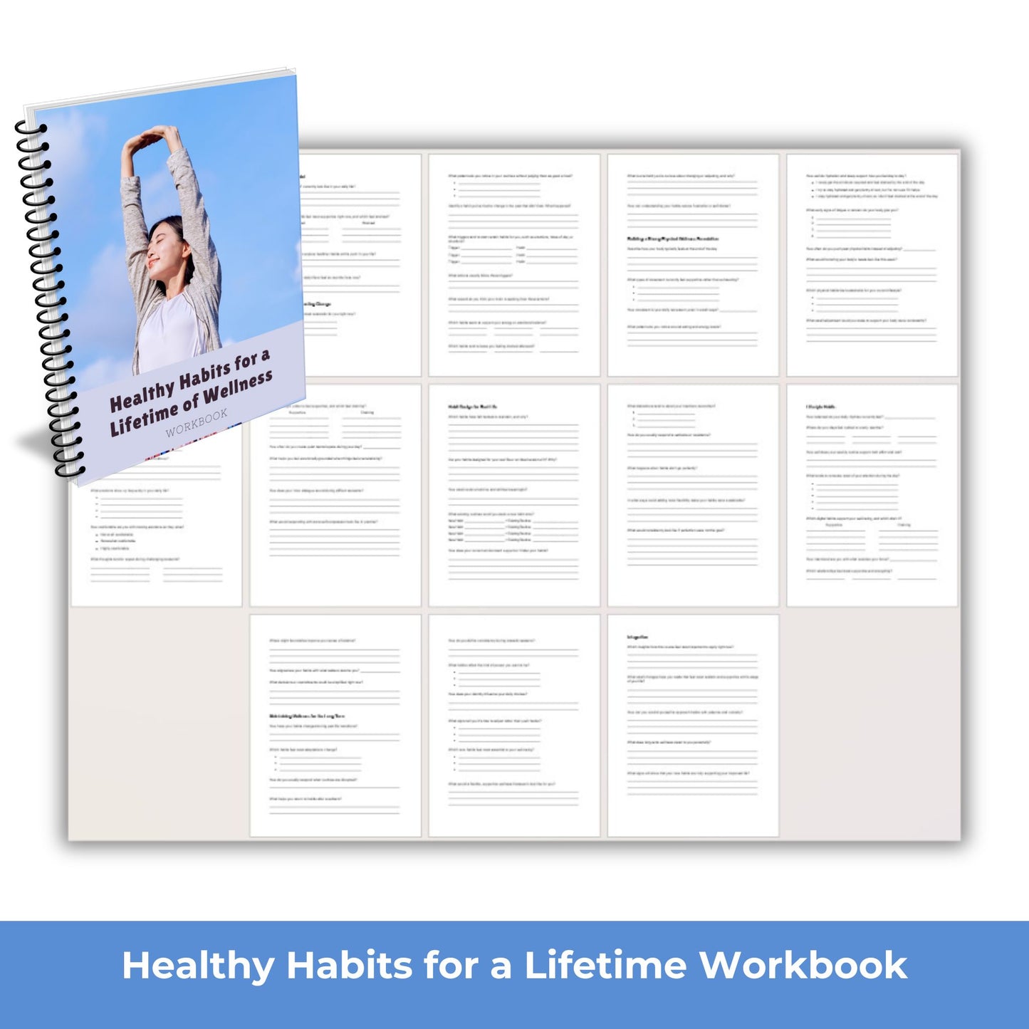 Healthy Habits for a Lifetime of Wellness - PLR Course