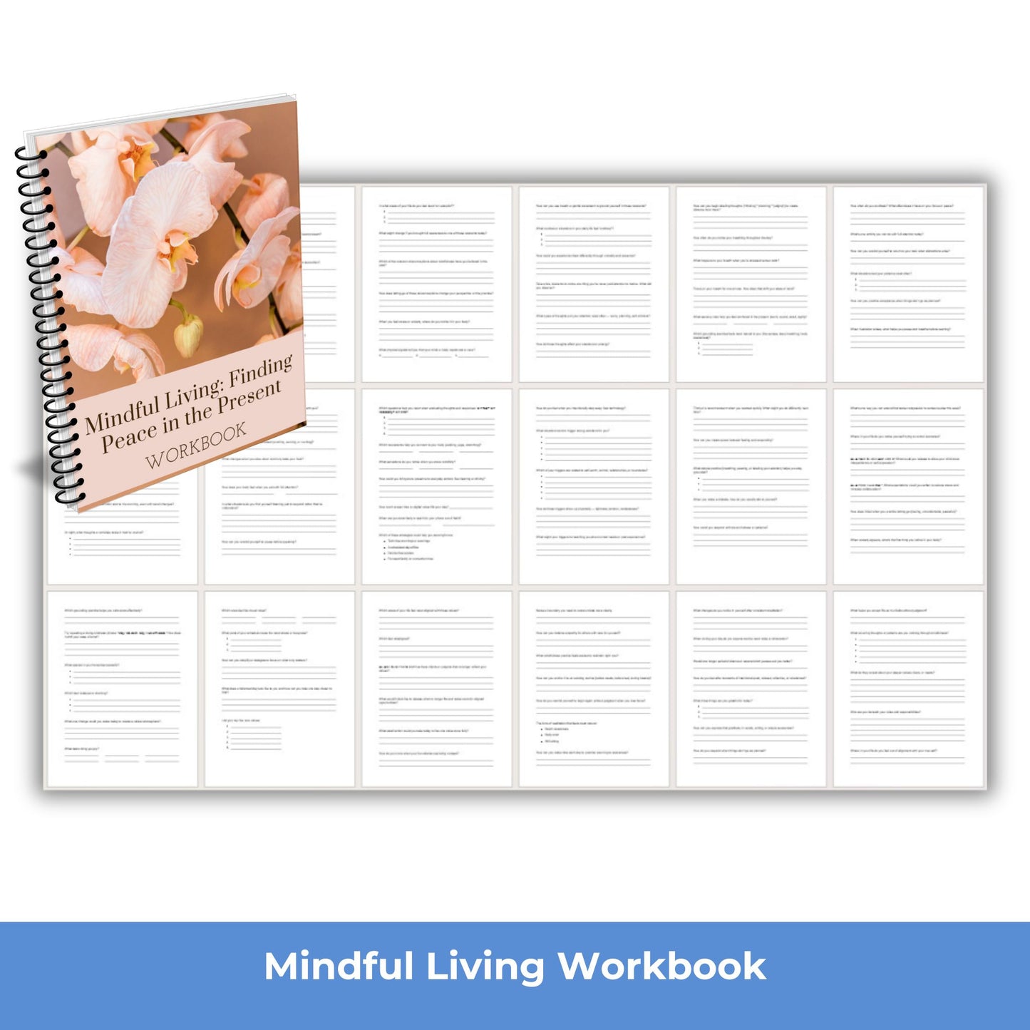 mindful living workbook plr