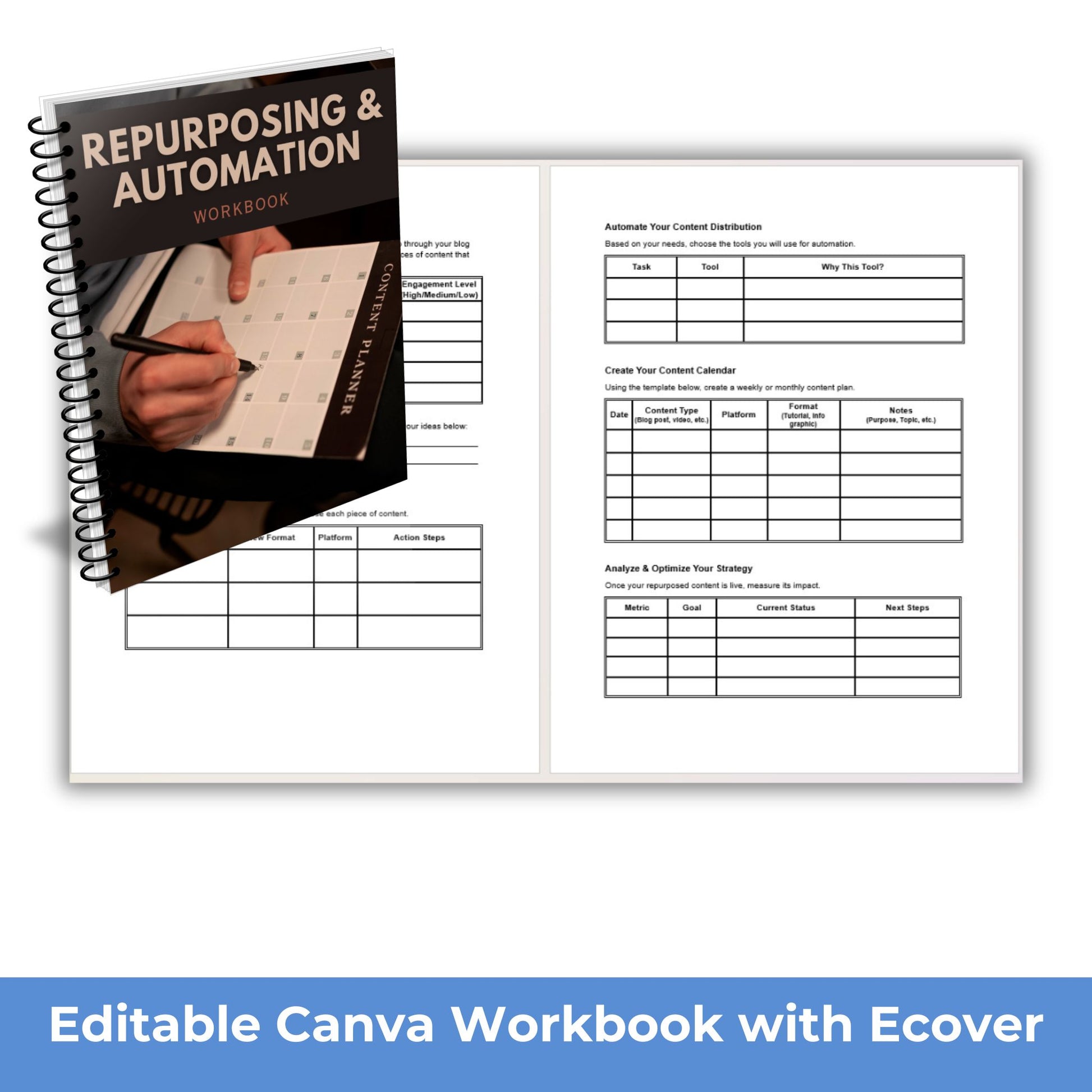 Repurposing and Automation PLR Course Workbook