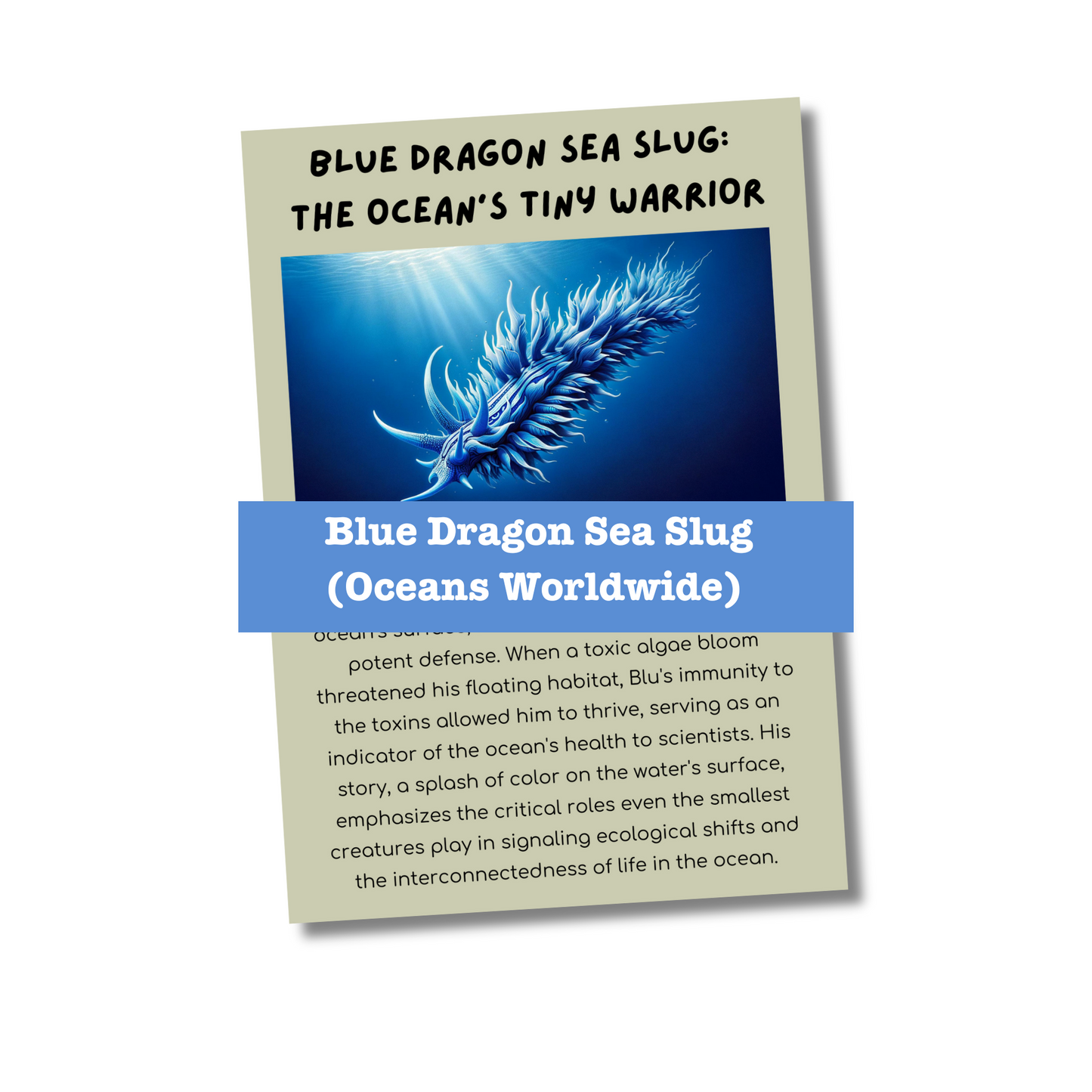 "Strange Sea Animals" Kid's Activities- PLR Rights